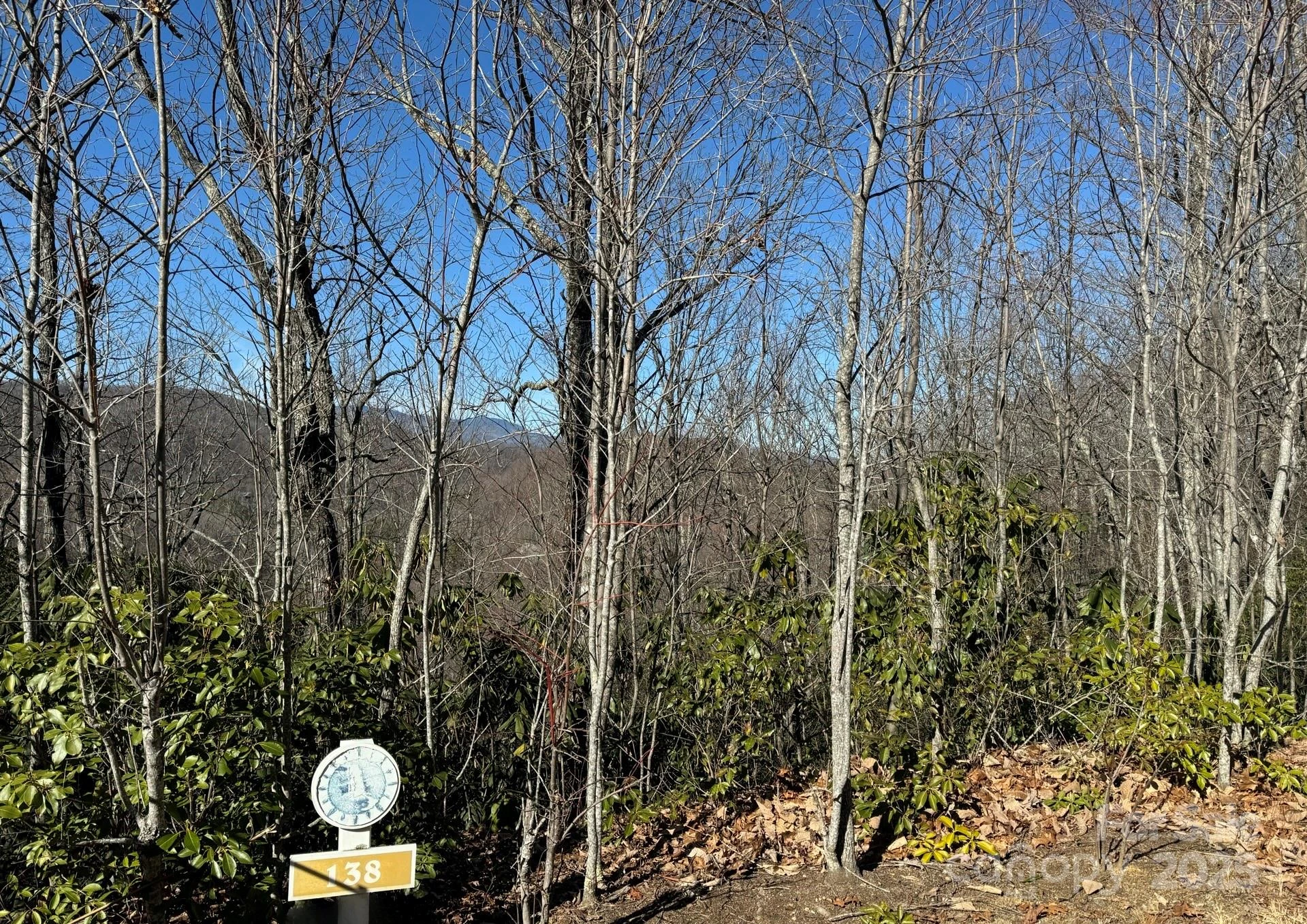 239 Fuji Falls Trail #138 - Photo 6