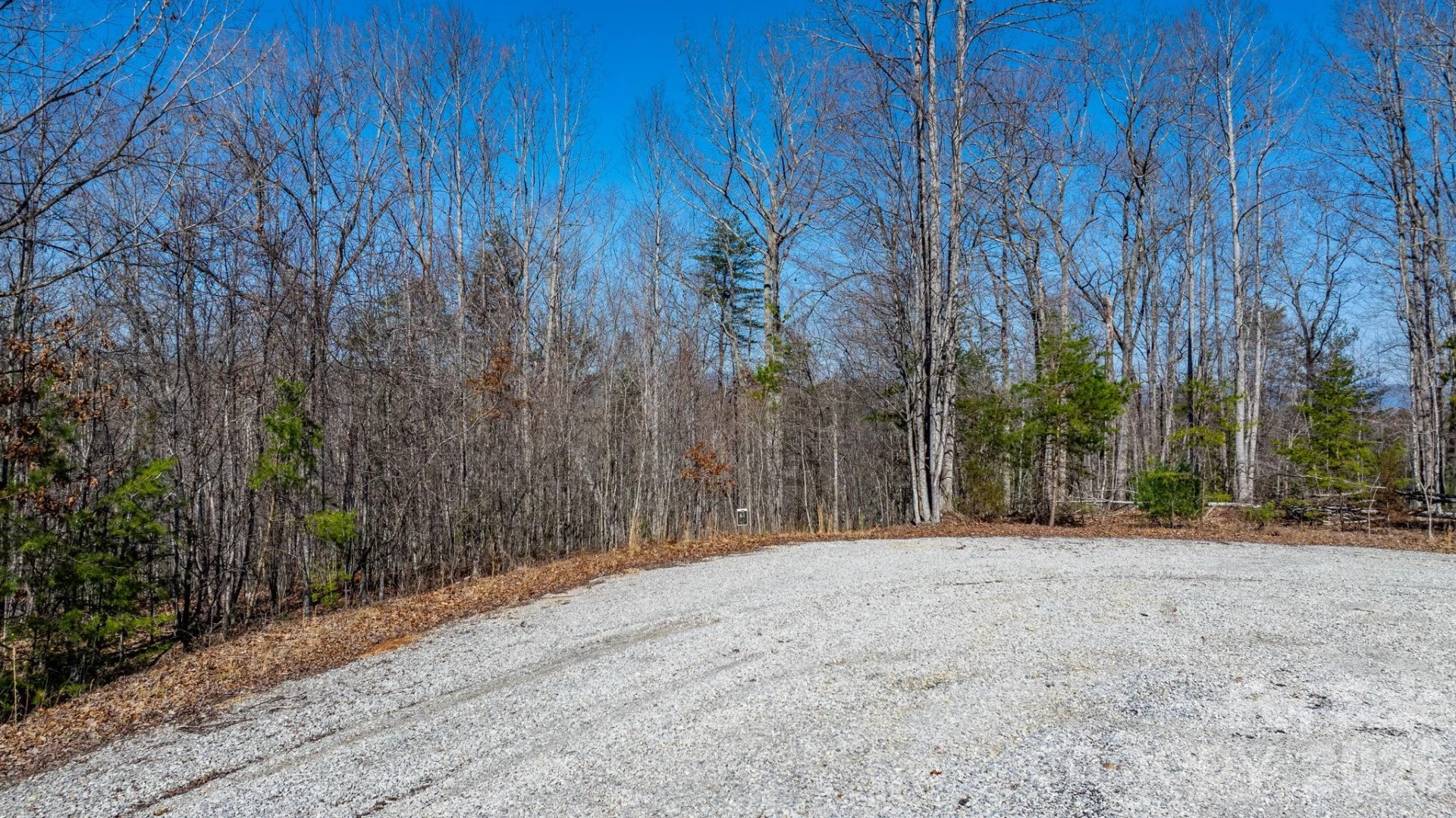 TBD Dirksen Avenue #61 - Photo 41