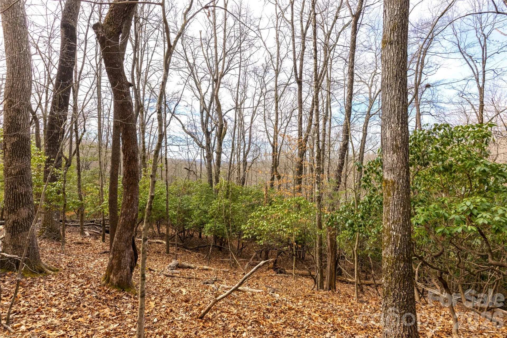 0 Aberdeen Lane - Photo 2