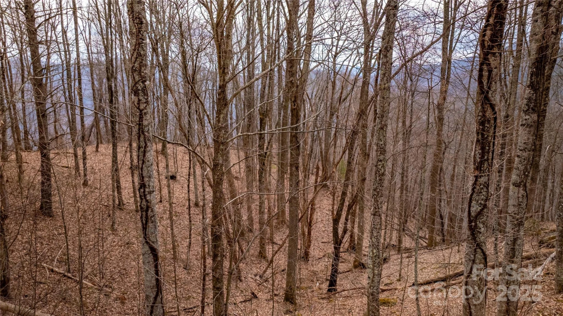 00000 Grassland Parkway #14 - Photo 11