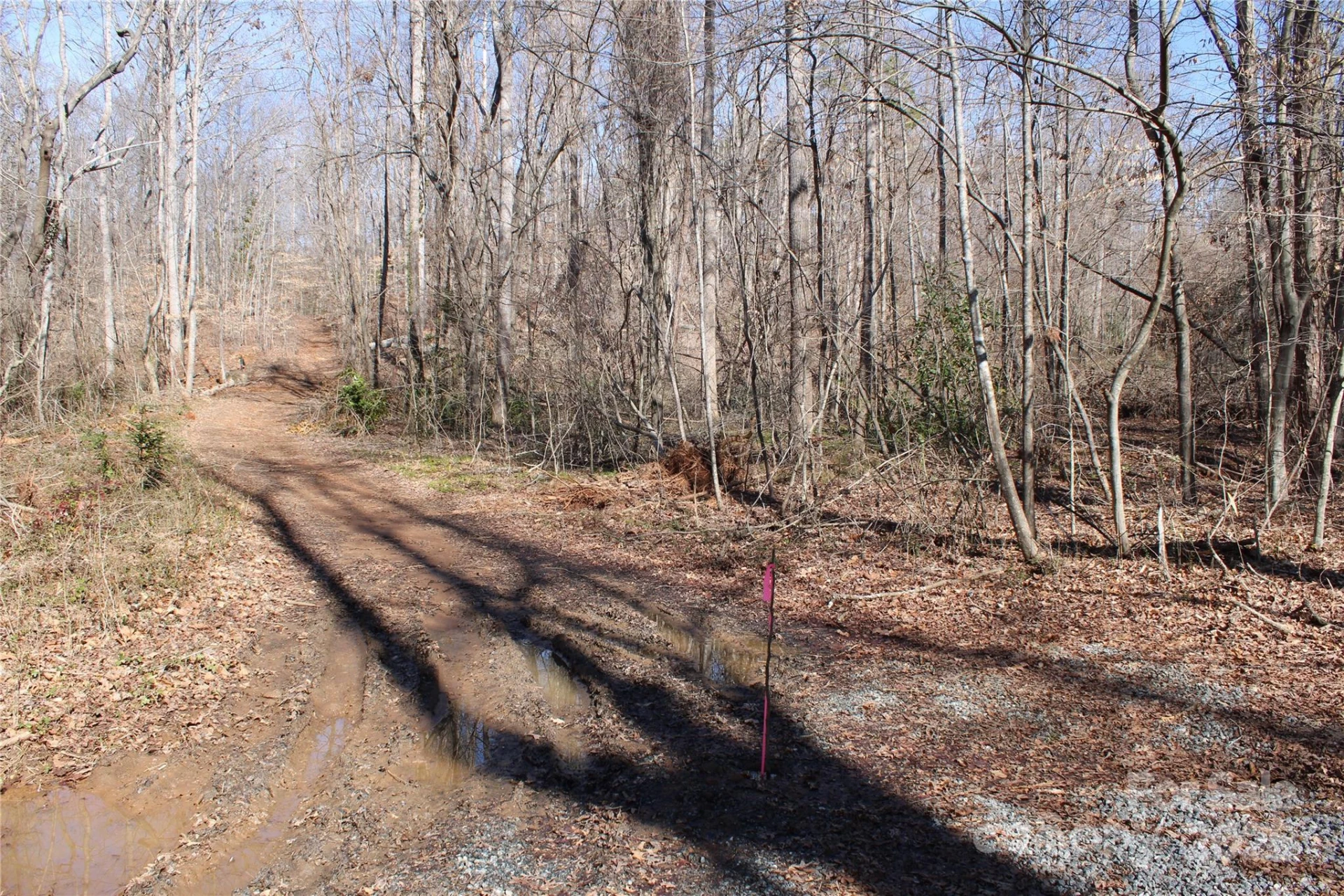 0 Rutherford Street - Photo 3