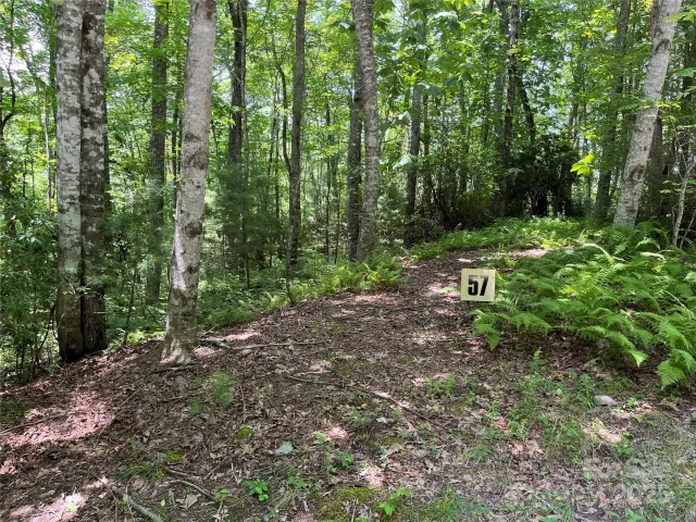 57 Big Branch Road