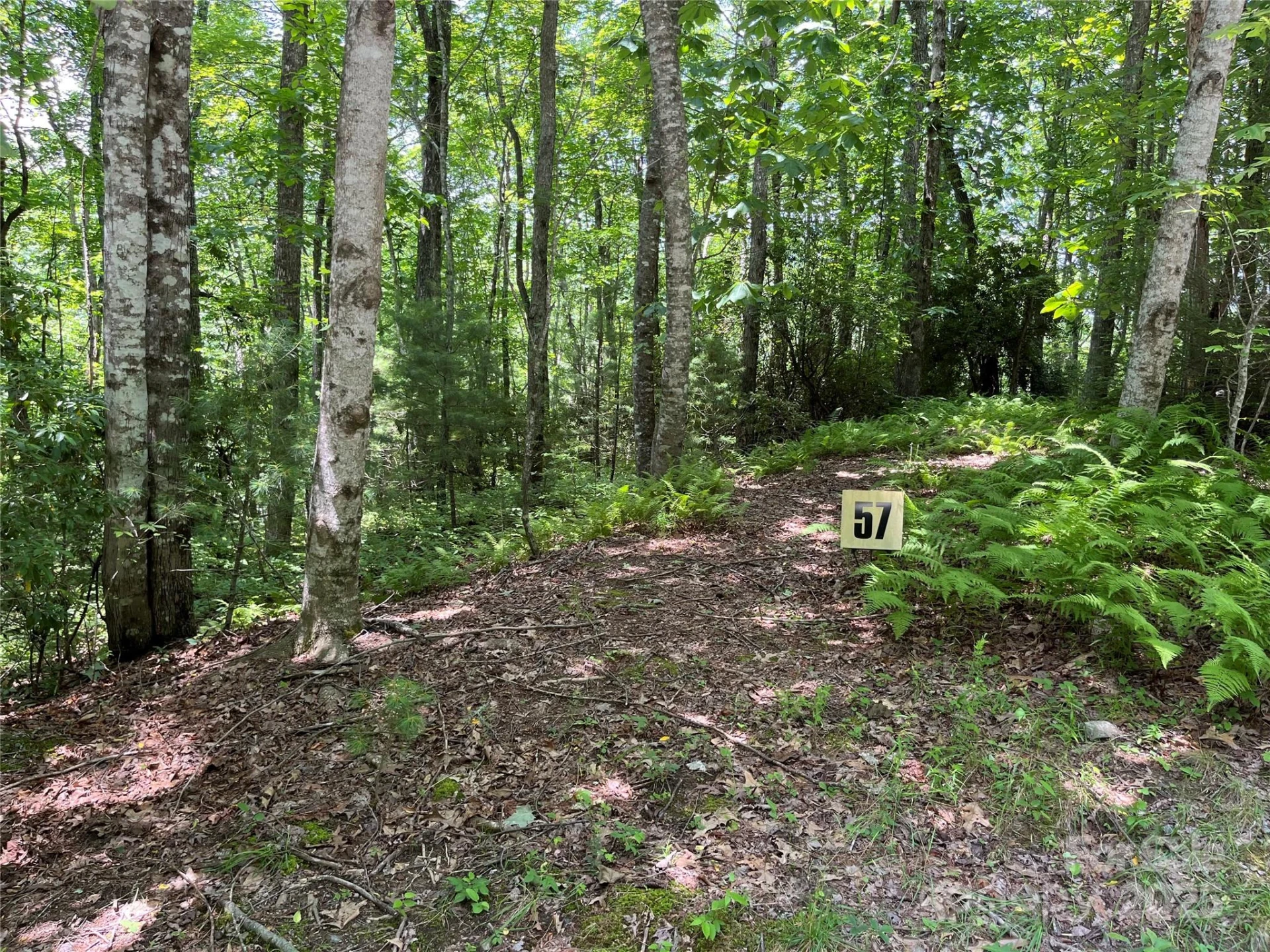 57 Big Branch Road