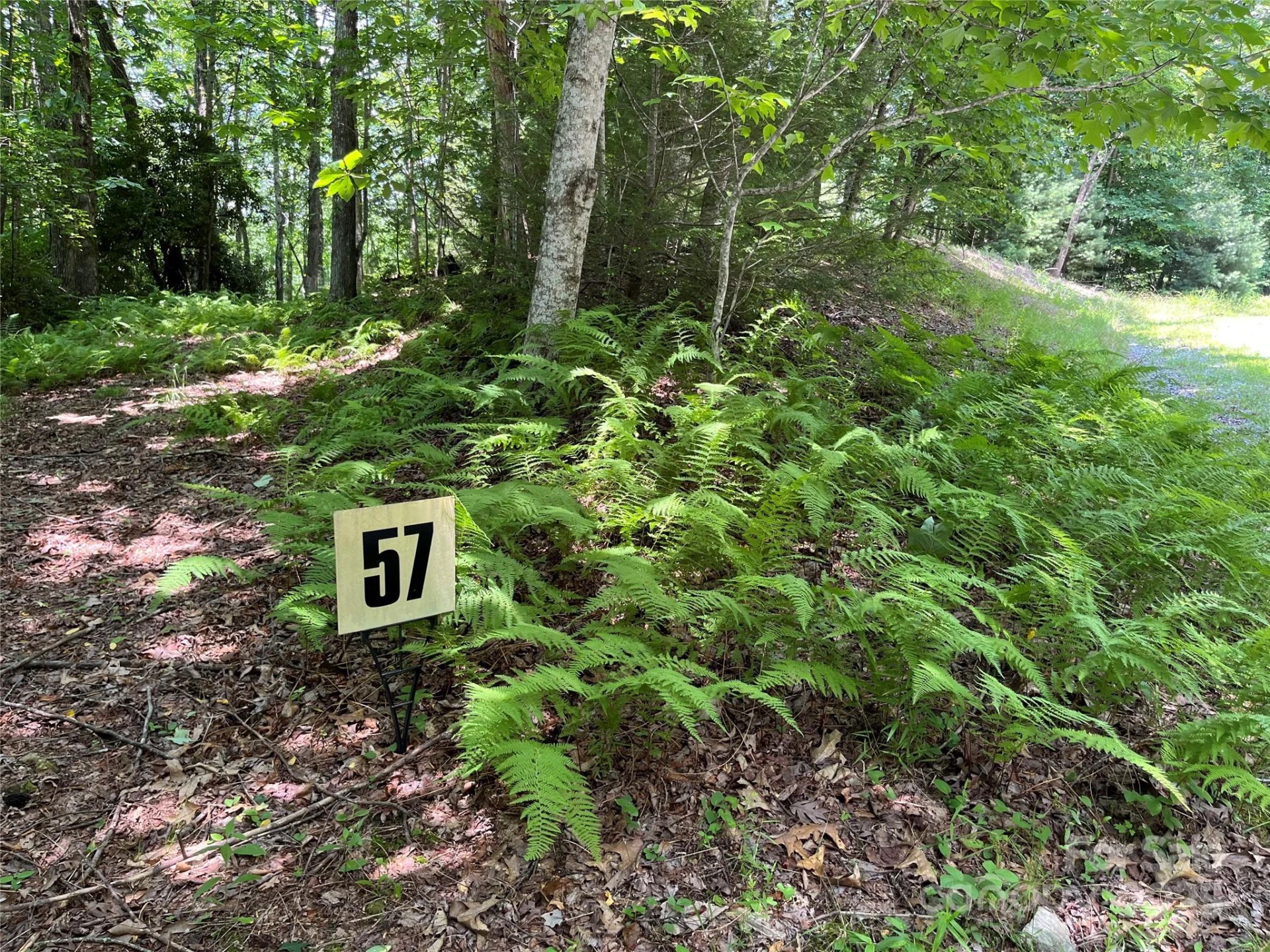 57 Big Branch Road - Photo 2