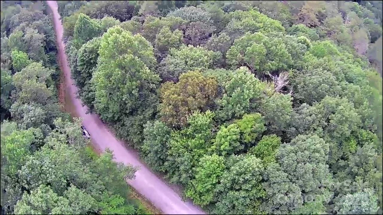 57 Big Branch Road - Photo 19