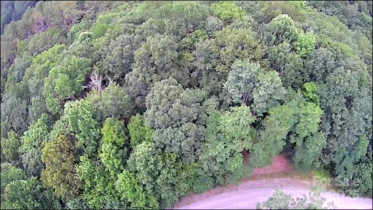 57 Big Branch Road - Photo 20