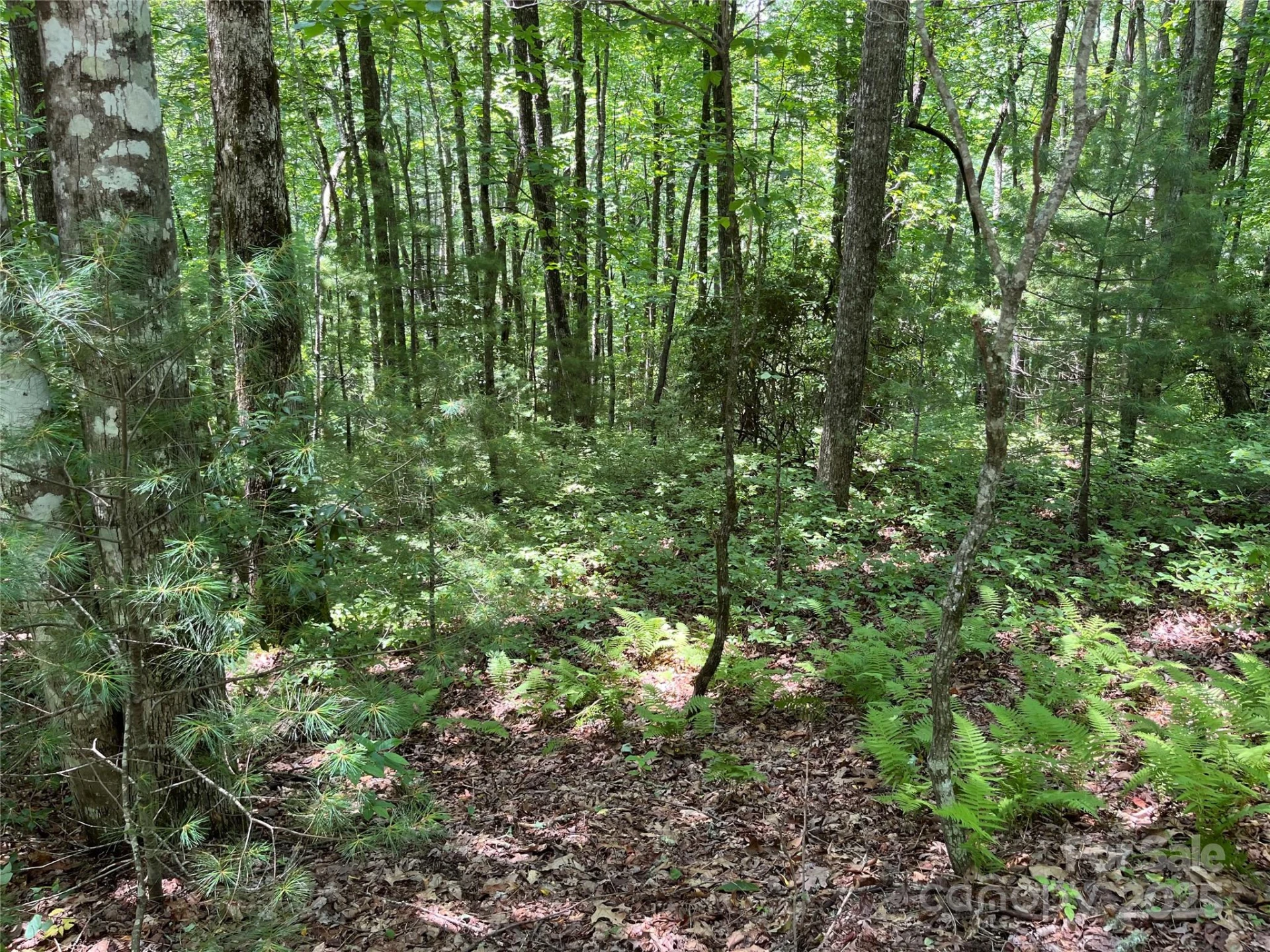 57 Big Branch Road - Photo 4