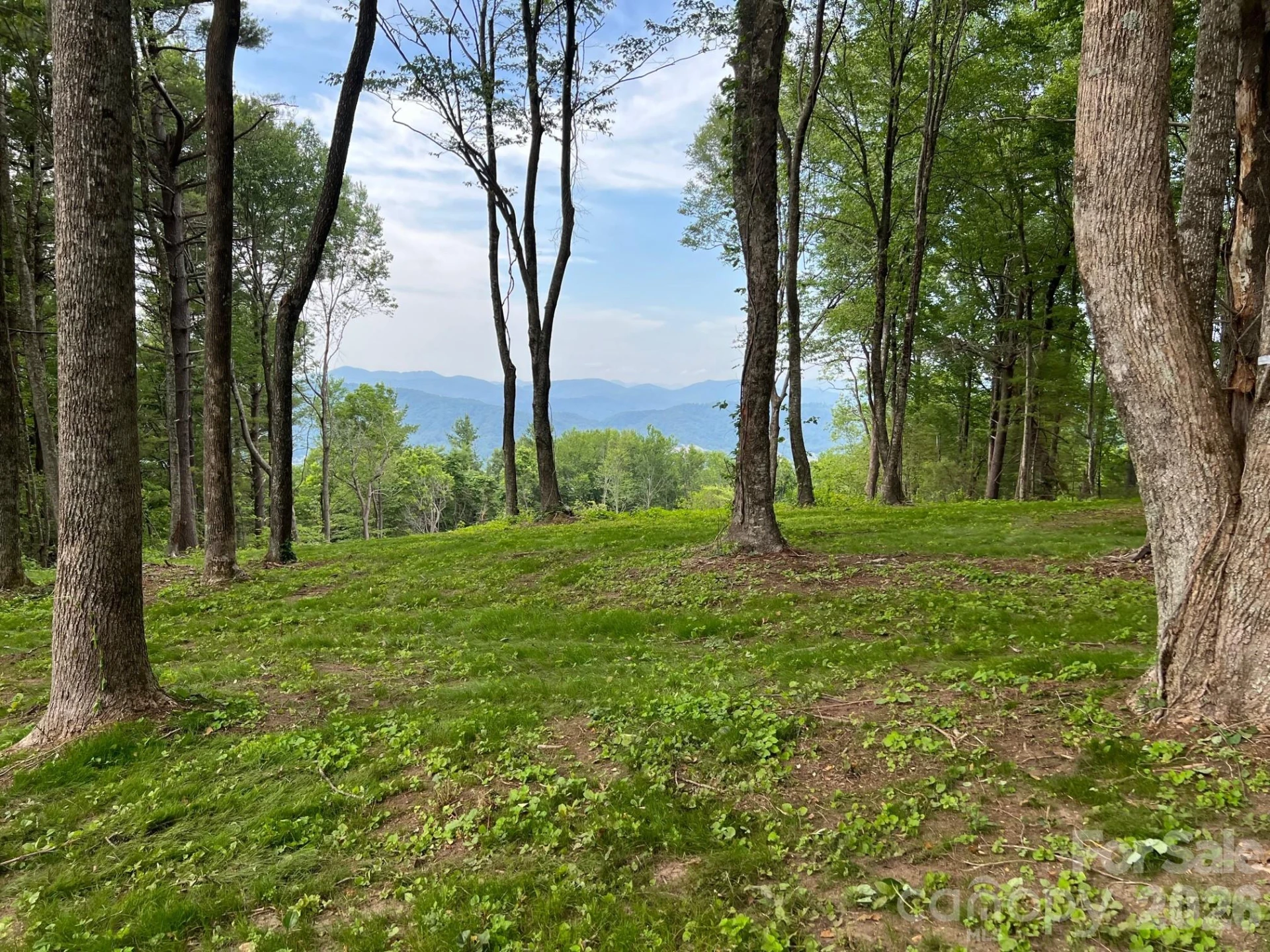 TBD East Garden Trail #18 - Photo 2