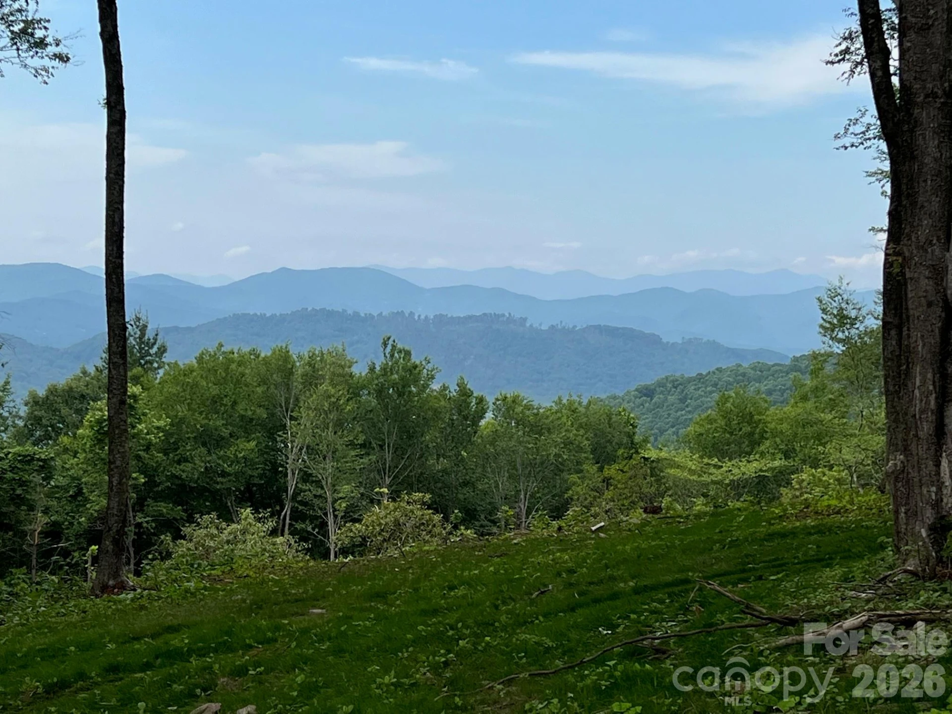 TBD East Garden Trail #18 - Photo 4