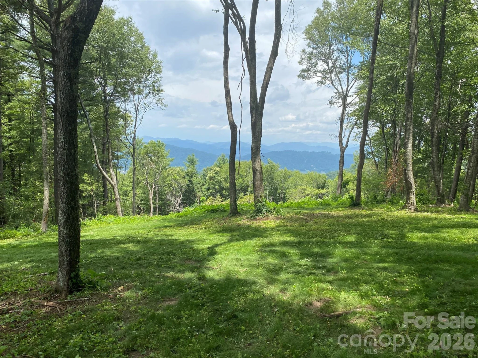 TBD East Garden Trail #18 - Photo 5