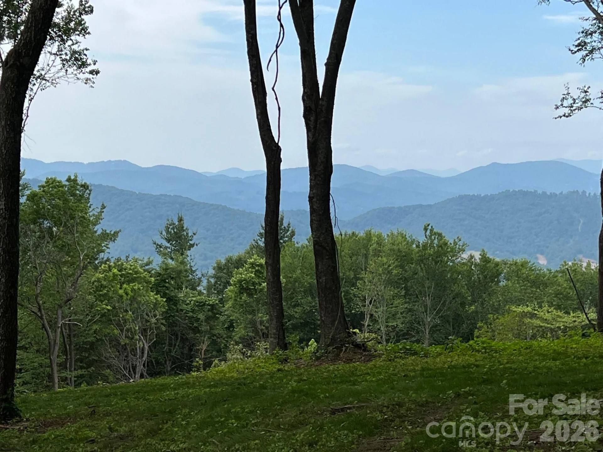 TBD East Garden Trail #18 - Photo 6