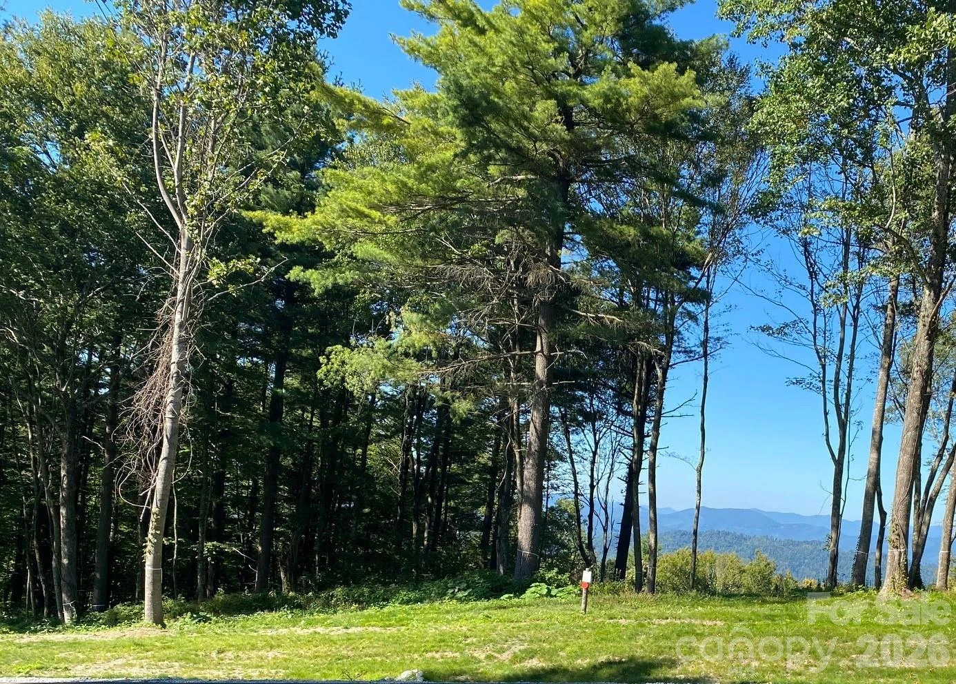 TBD East Garden Trail #18 - Photo 8