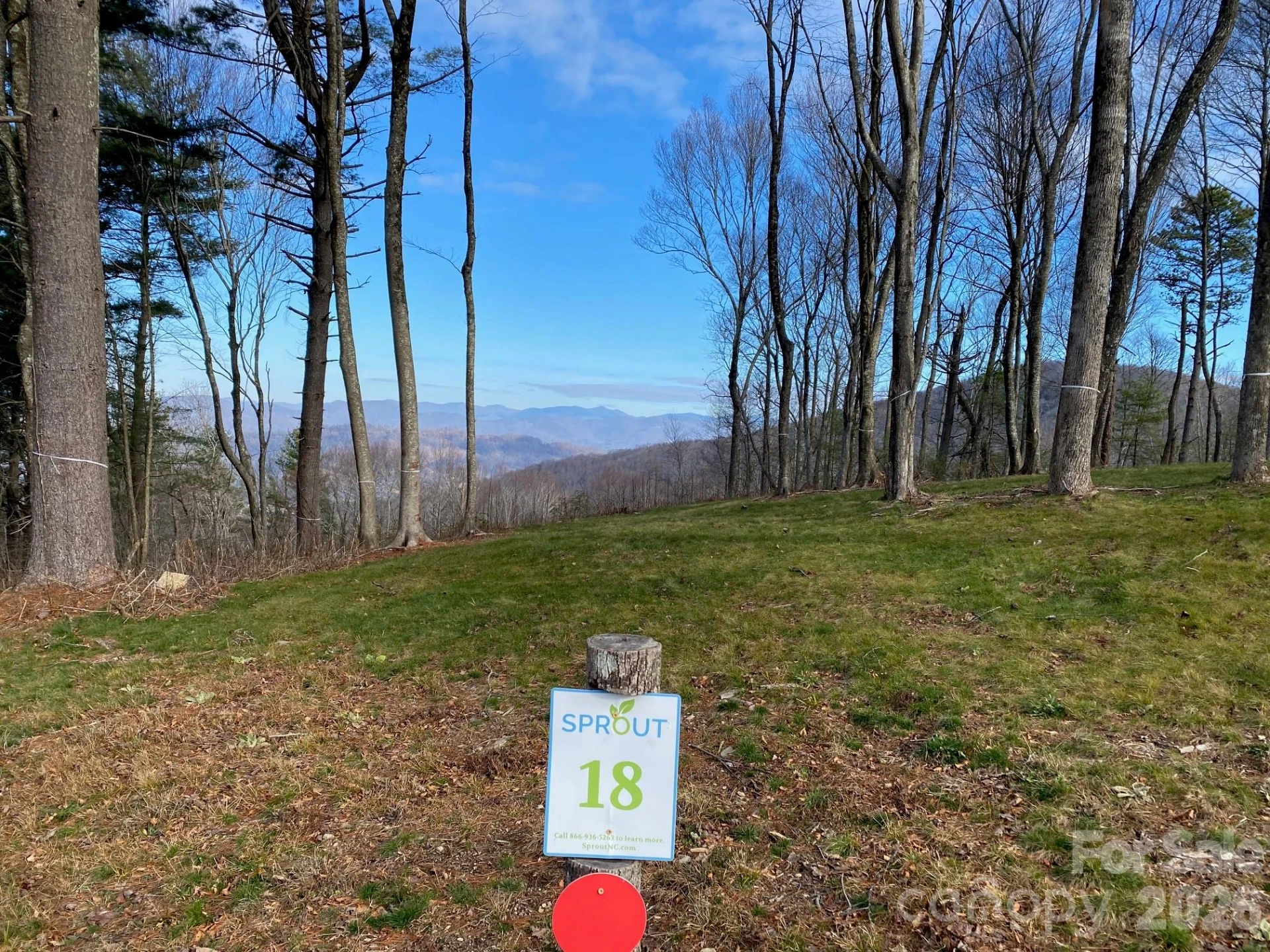 TBD East Garden Trail #18 - Photo 10