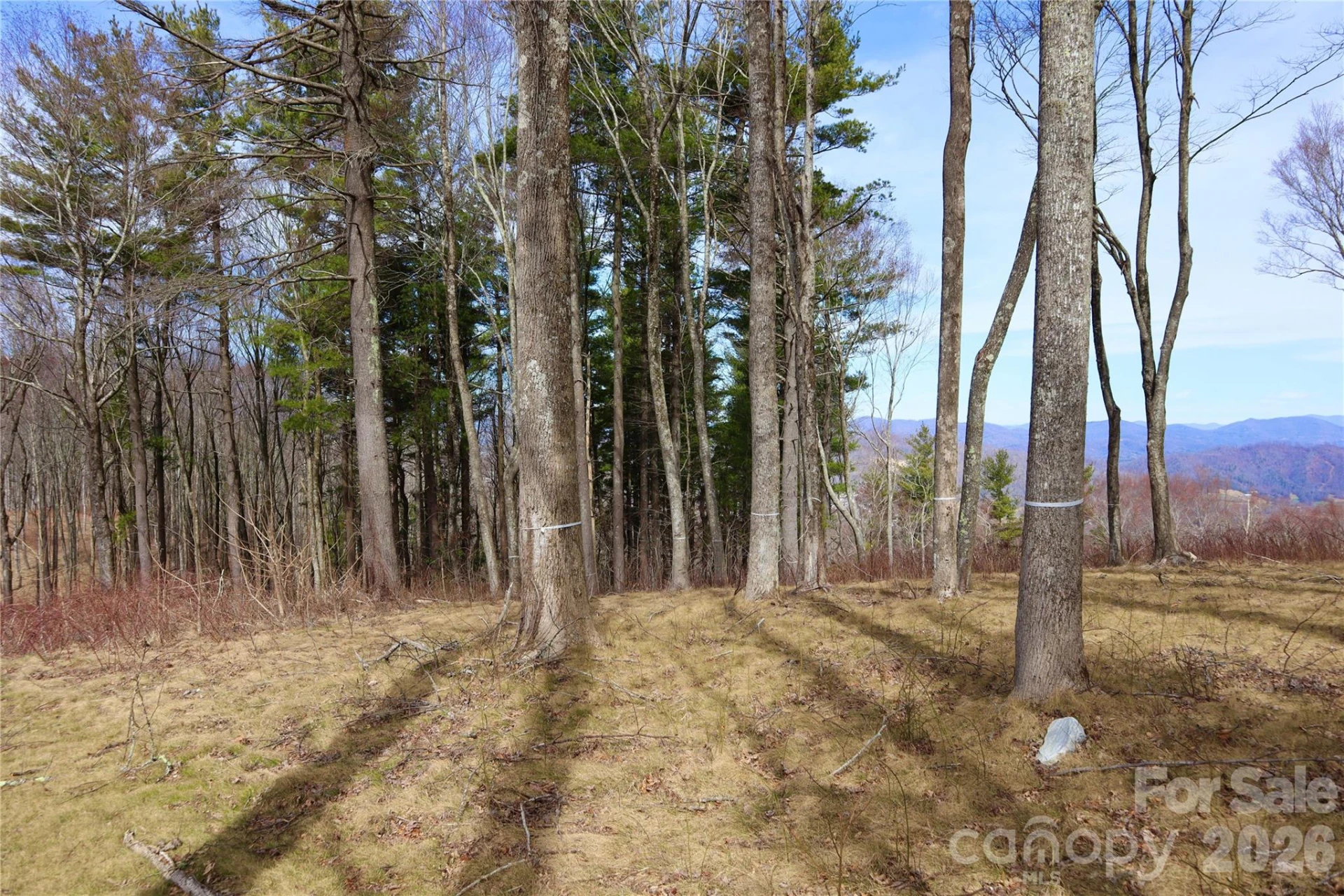 TBD East Garden Trail #18 - Photo 16