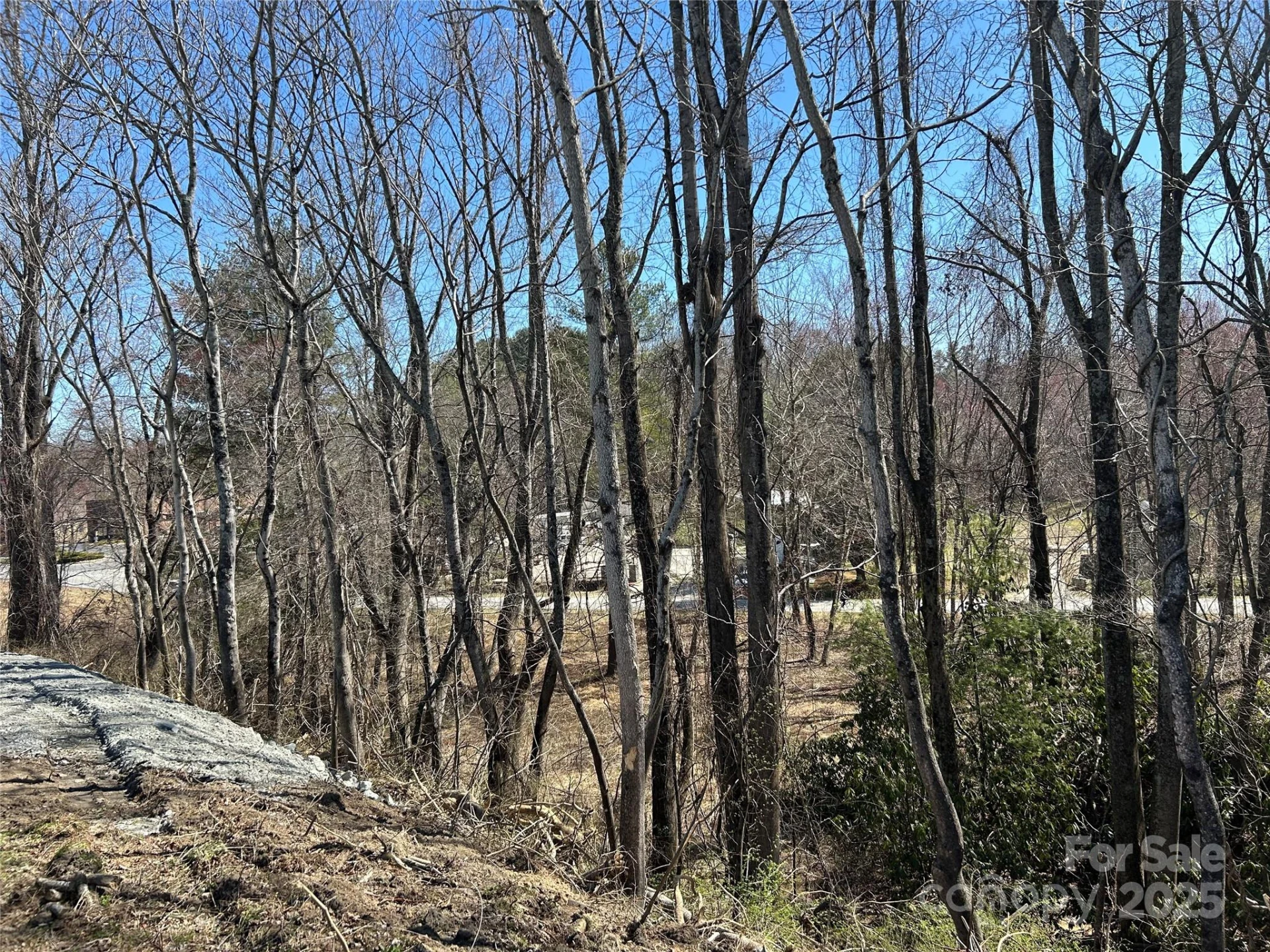 0 US 64 Highway - Photo 10