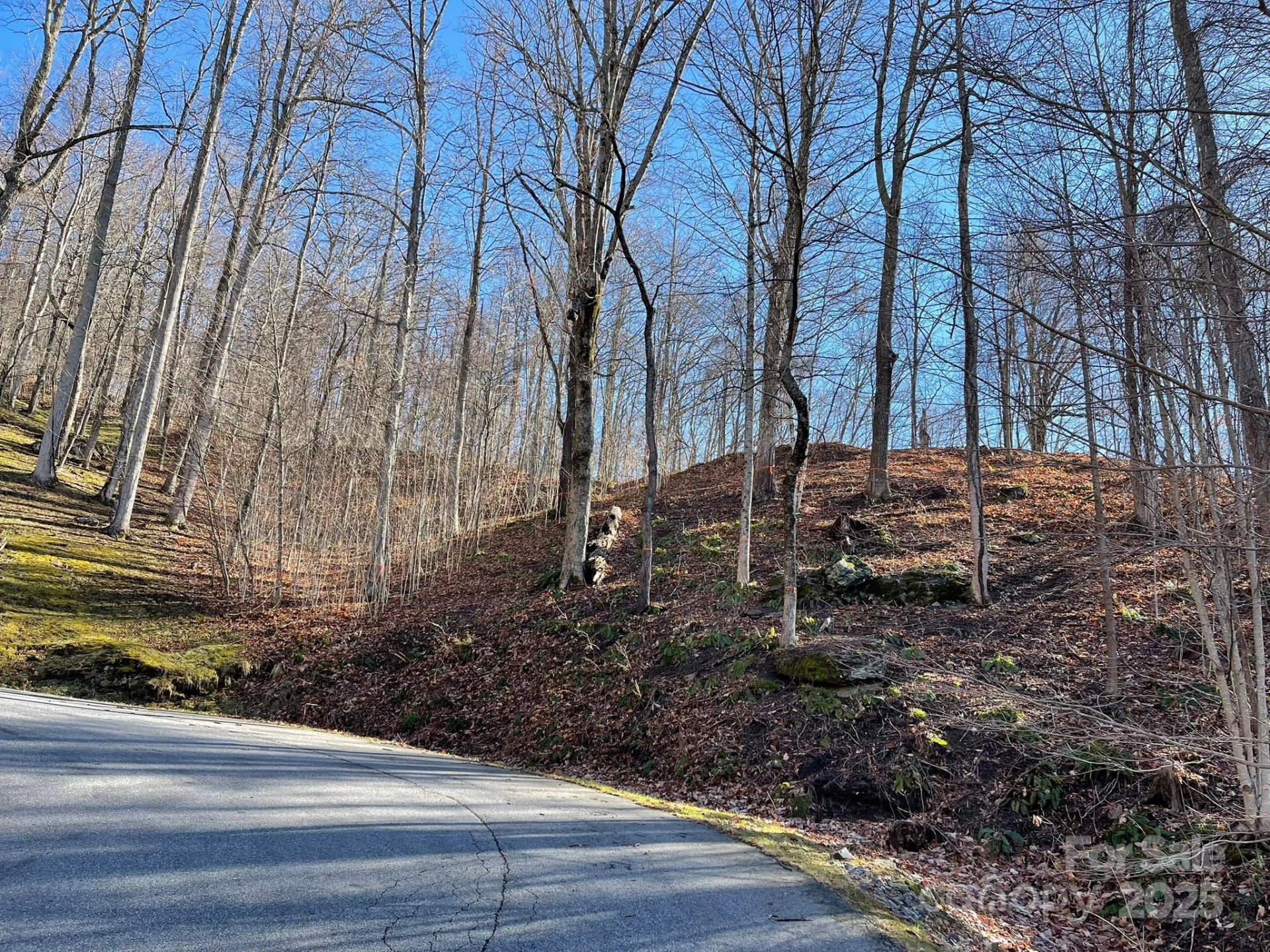 00 Weatherwatch Lane #48 - Photo 2