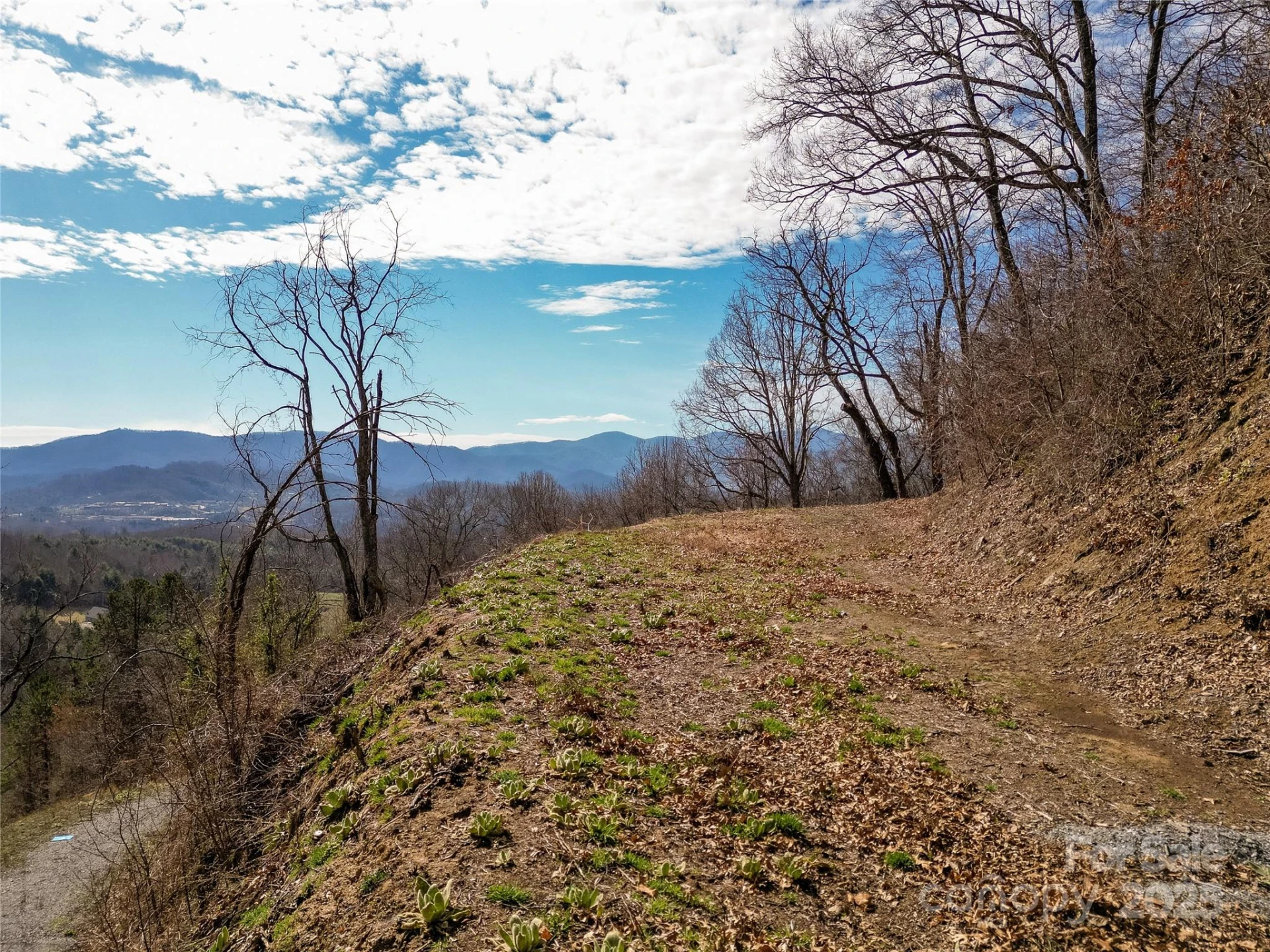 00 Rimesdale Way #36 - Photo 3