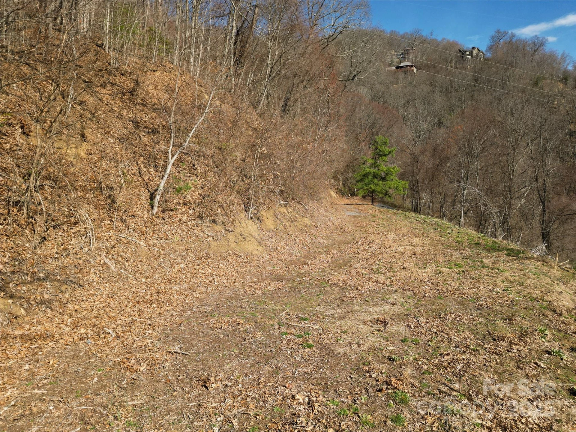 00 Rimesdale Way #36 - Photo 7