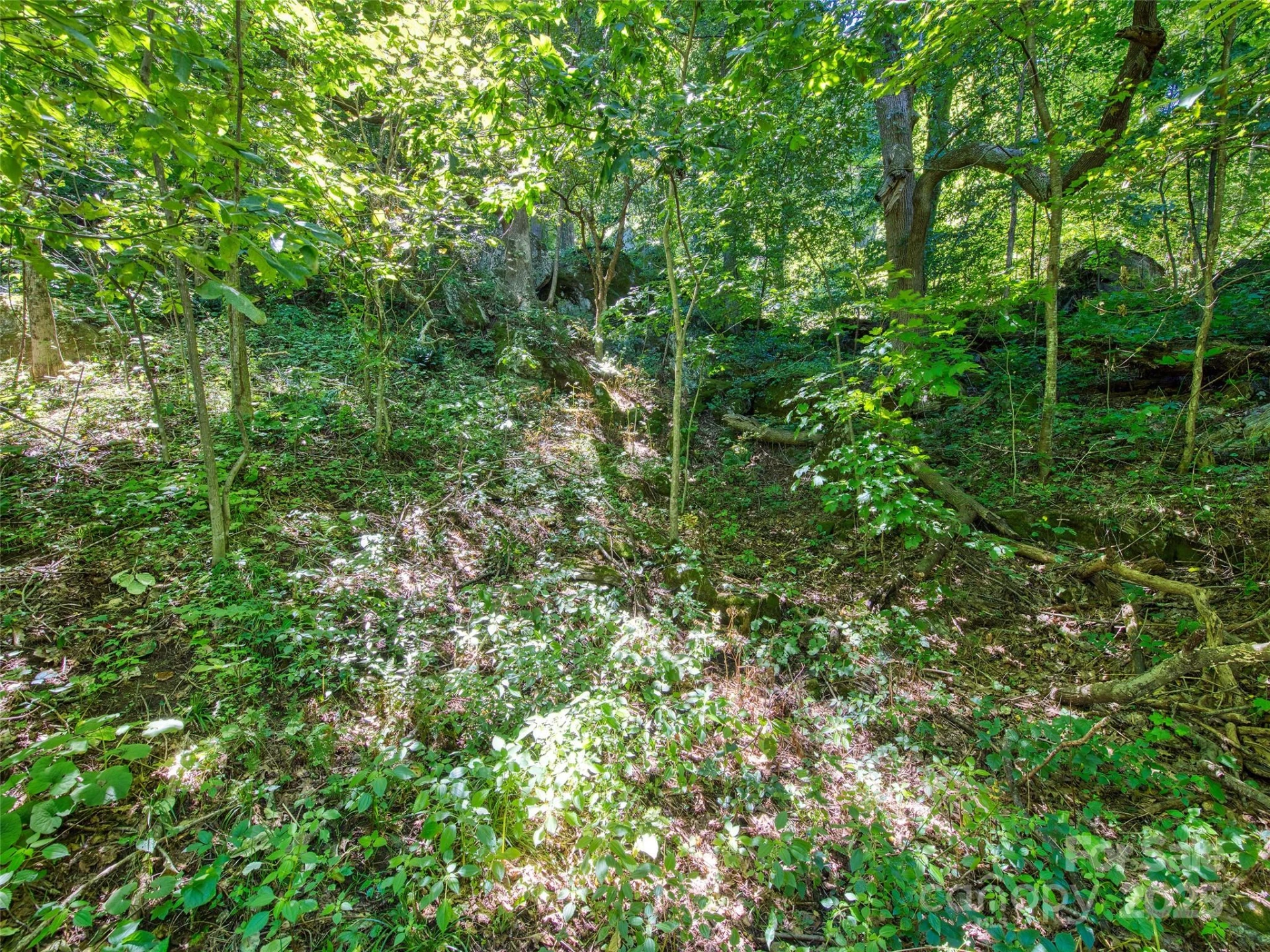 00 Yellow Locust Drive - Photo 10