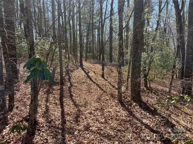 TBD Panther Ridge Road