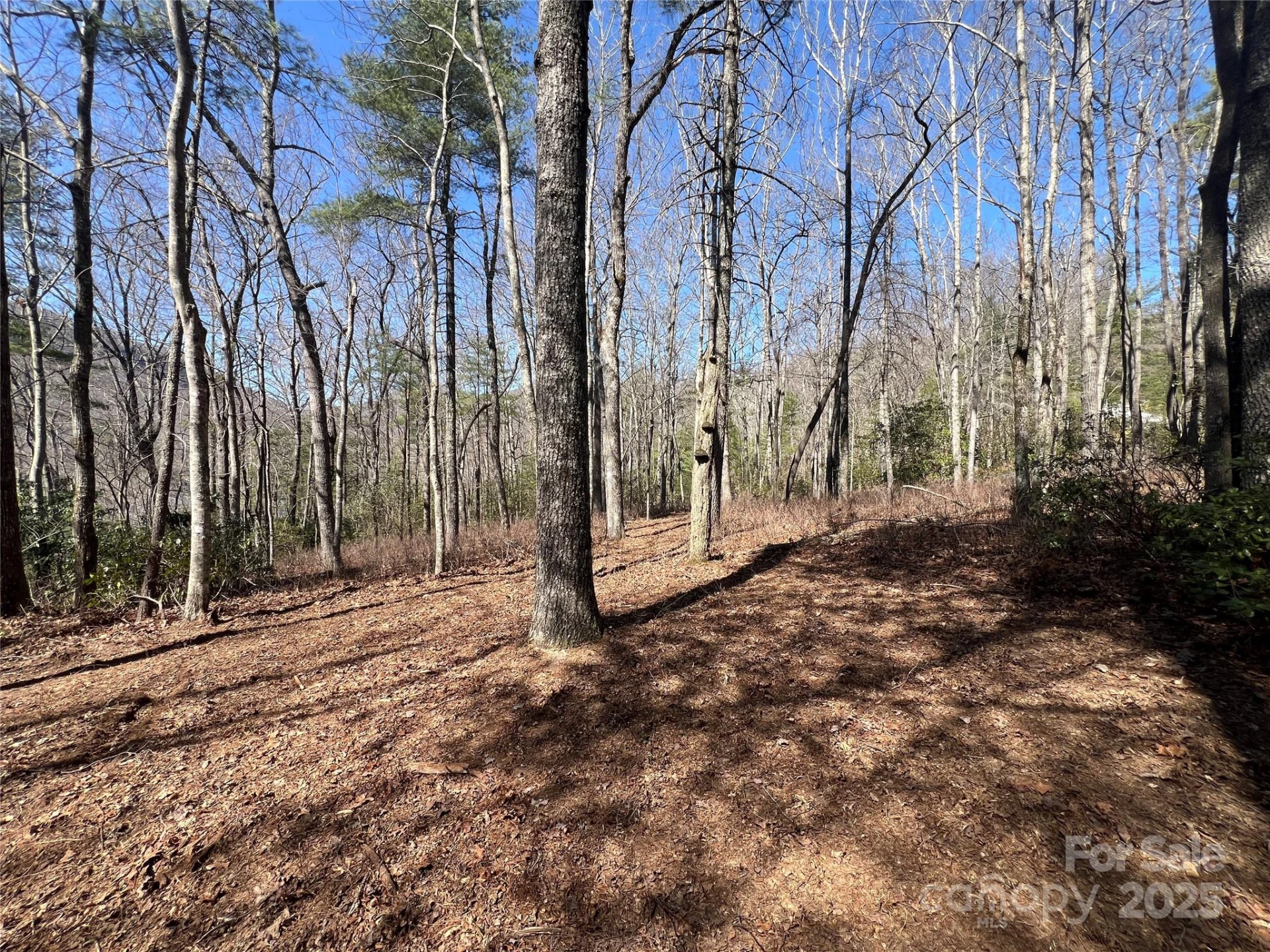 TBD Panther Ridge Road - Photo 11