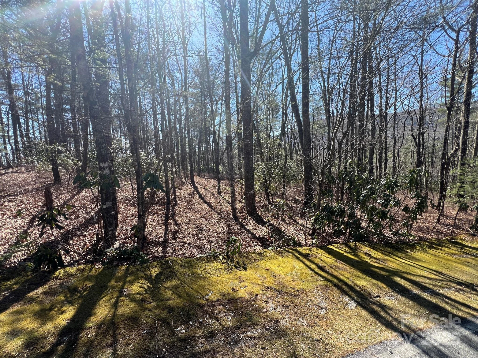 TBD Panther Ridge Road - Photo 15