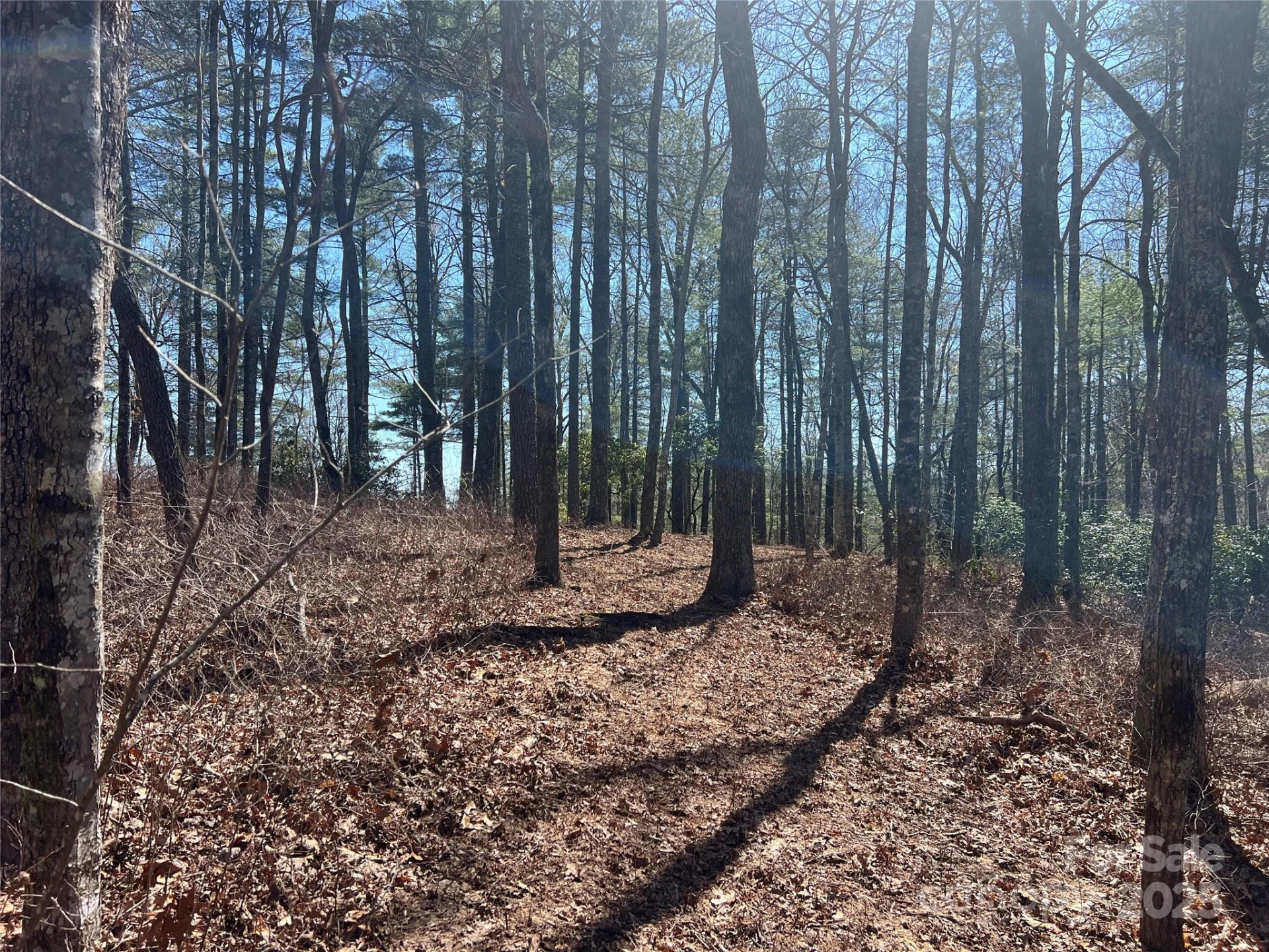TBD Panther Ridge Road - Photo 4