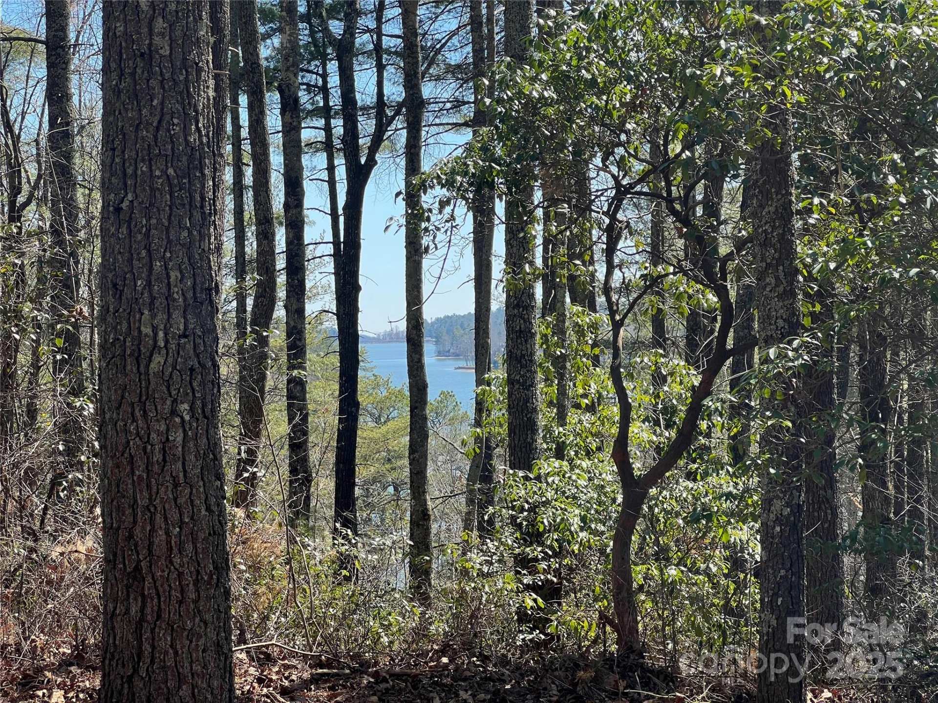 TBD Panther Ridge Road - Photo 8