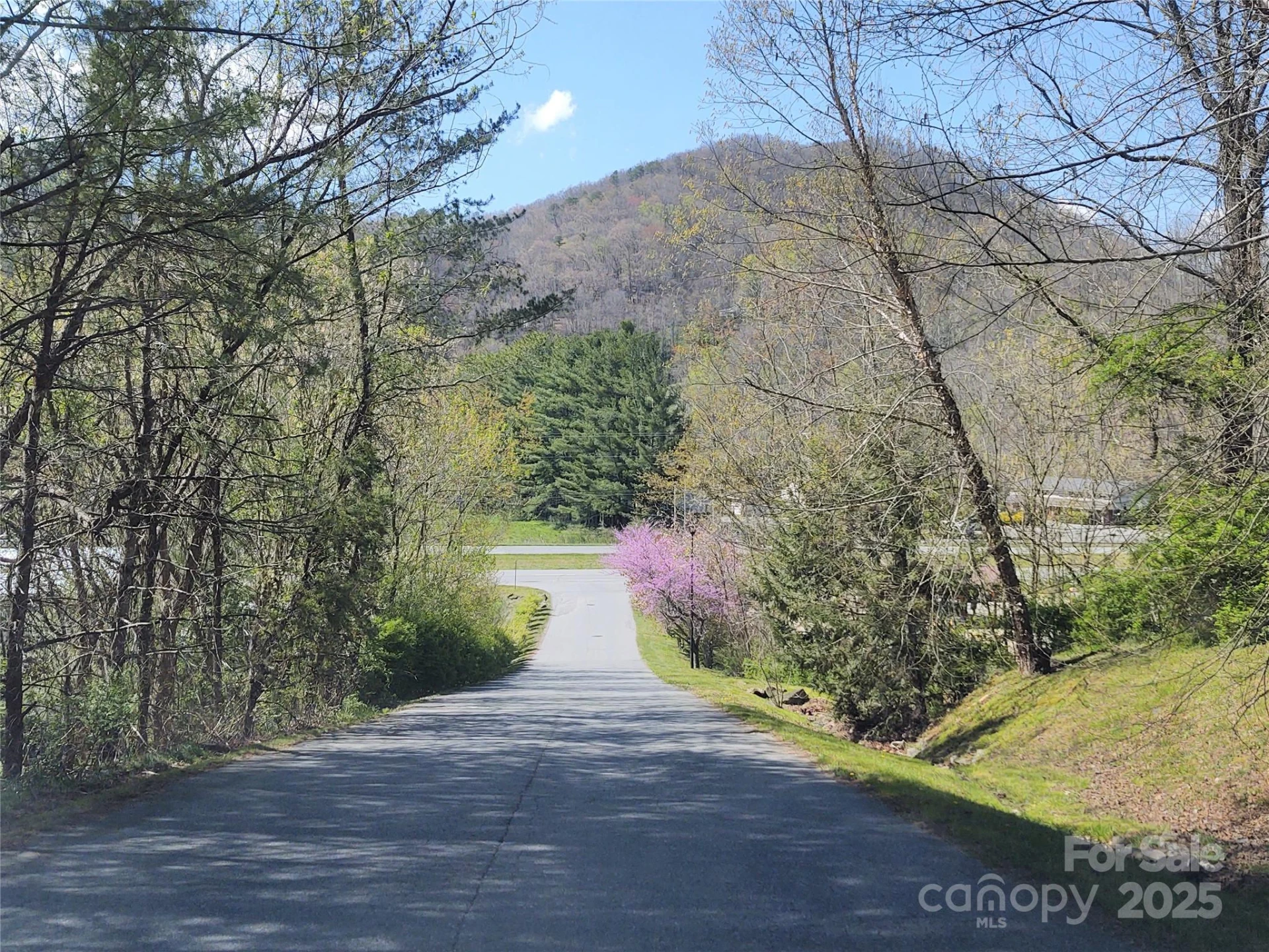 00 Tanner Trail - Photo 2