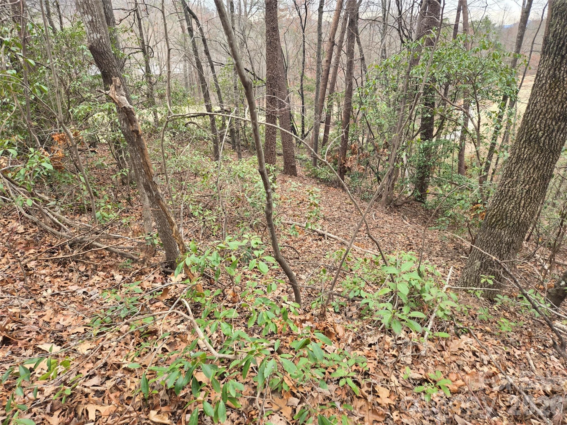 Lot 28 Roundabout Road - Photo 3