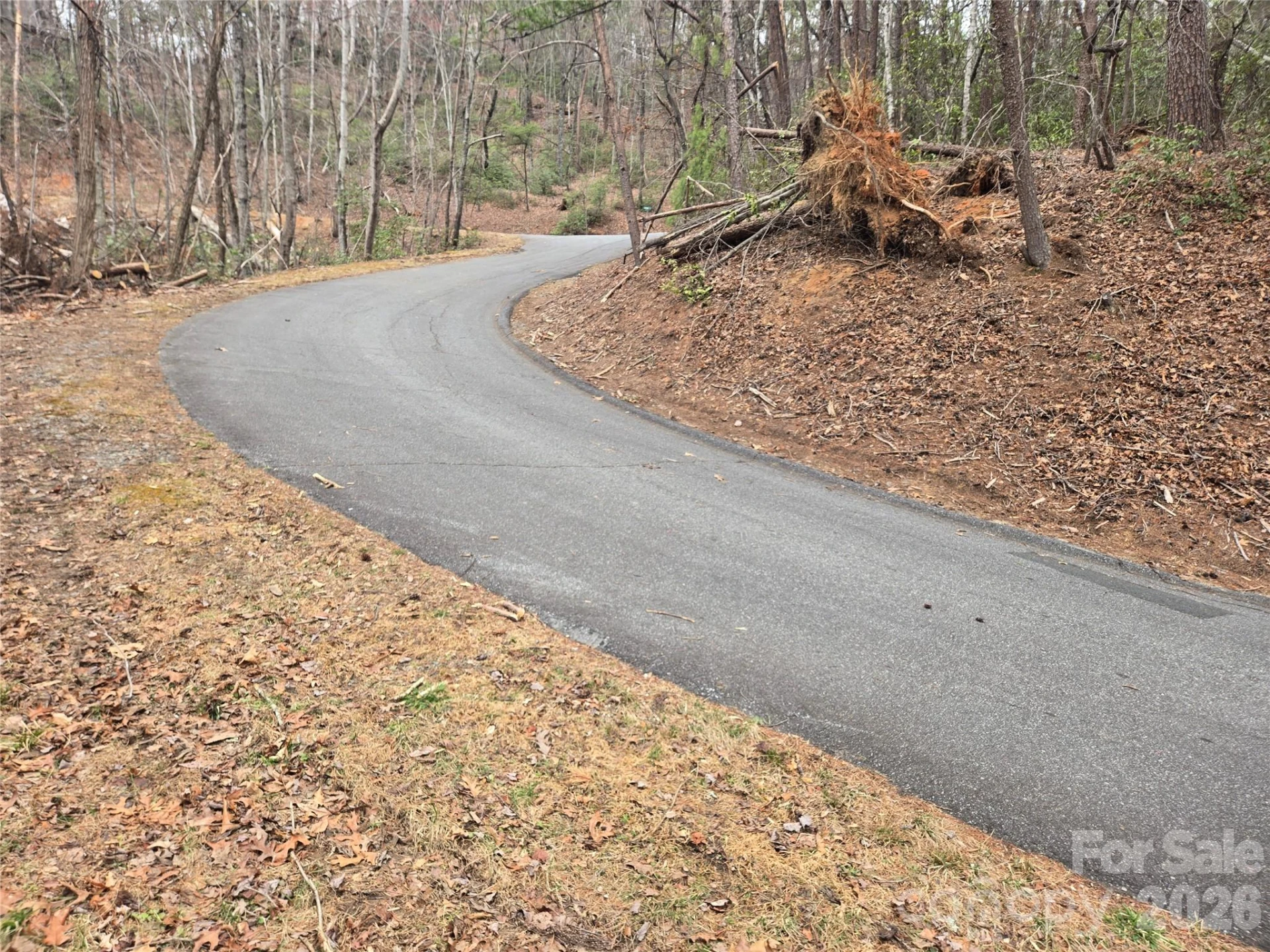 Lot 28 Roundabout Road - Photo 4
