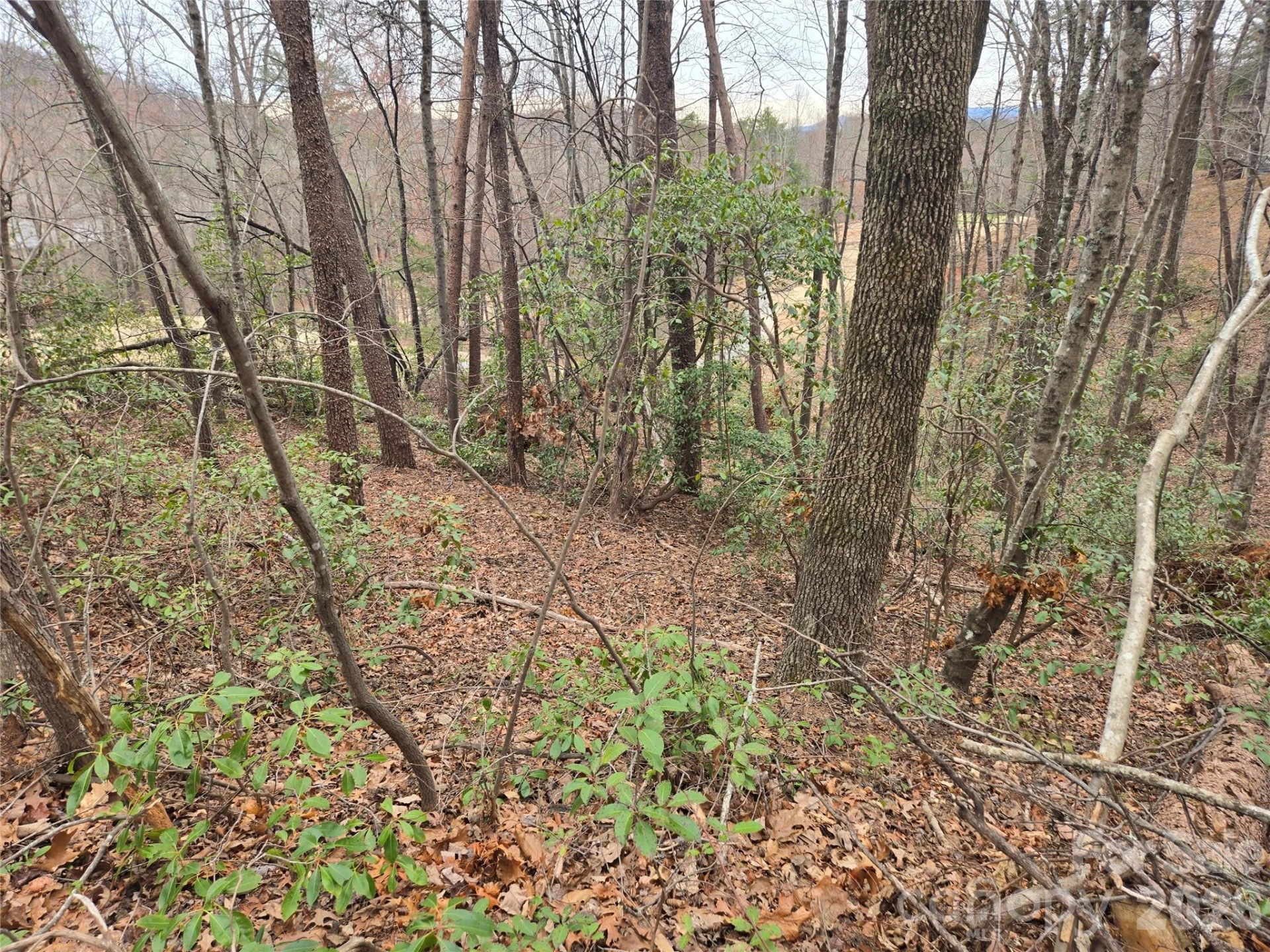 Lot 28 Roundabout Road - Photo 5