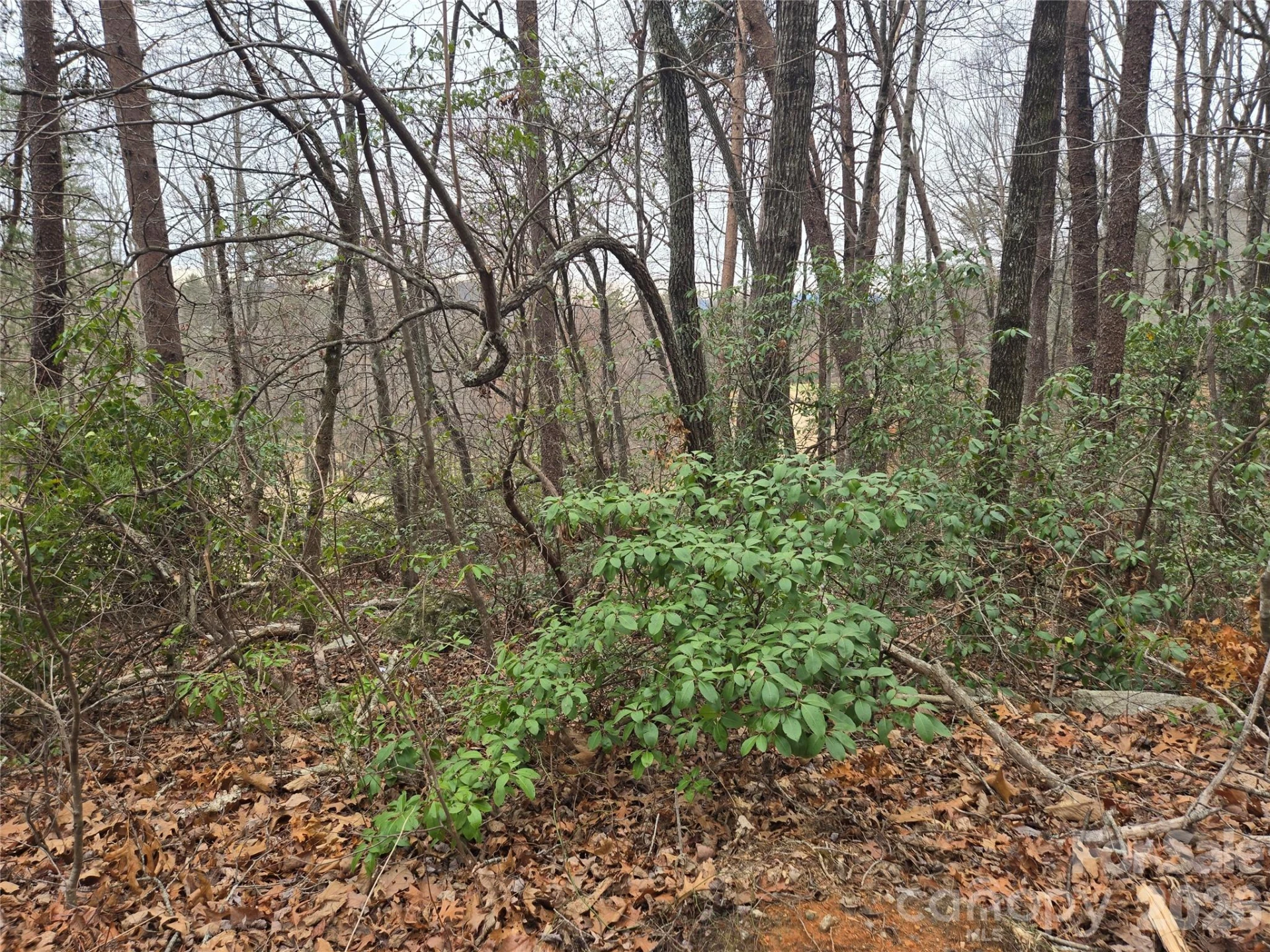 Lot 28 Roundabout Road - Photo 6