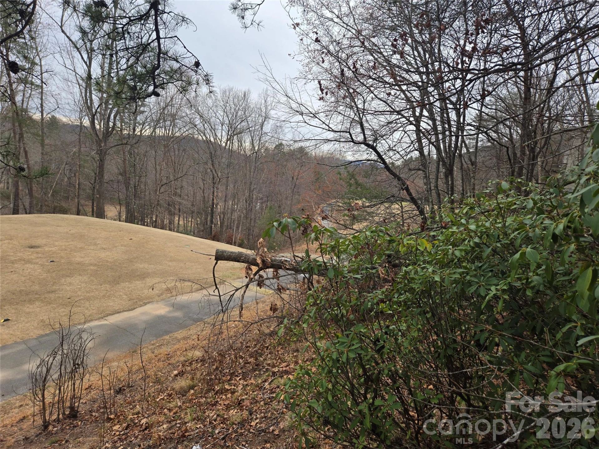 Lot 28 Roundabout Road - Photo 7