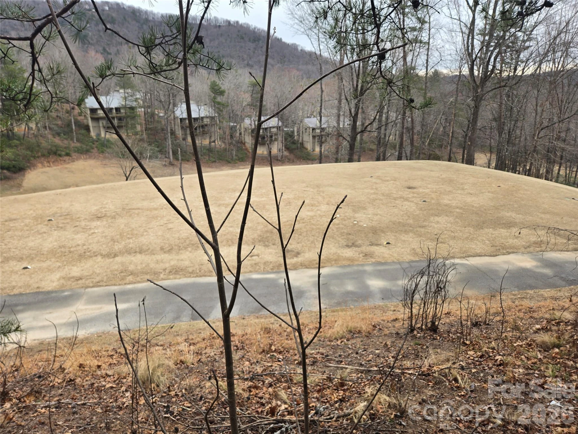 Lot 28 Roundabout Road - Photo 8