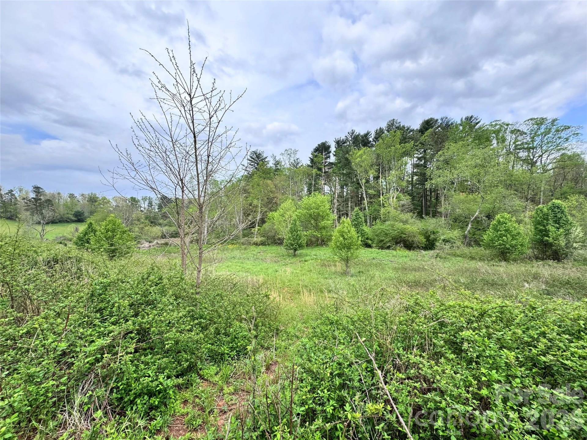 38 Flourish Farm Lane - Photo 2