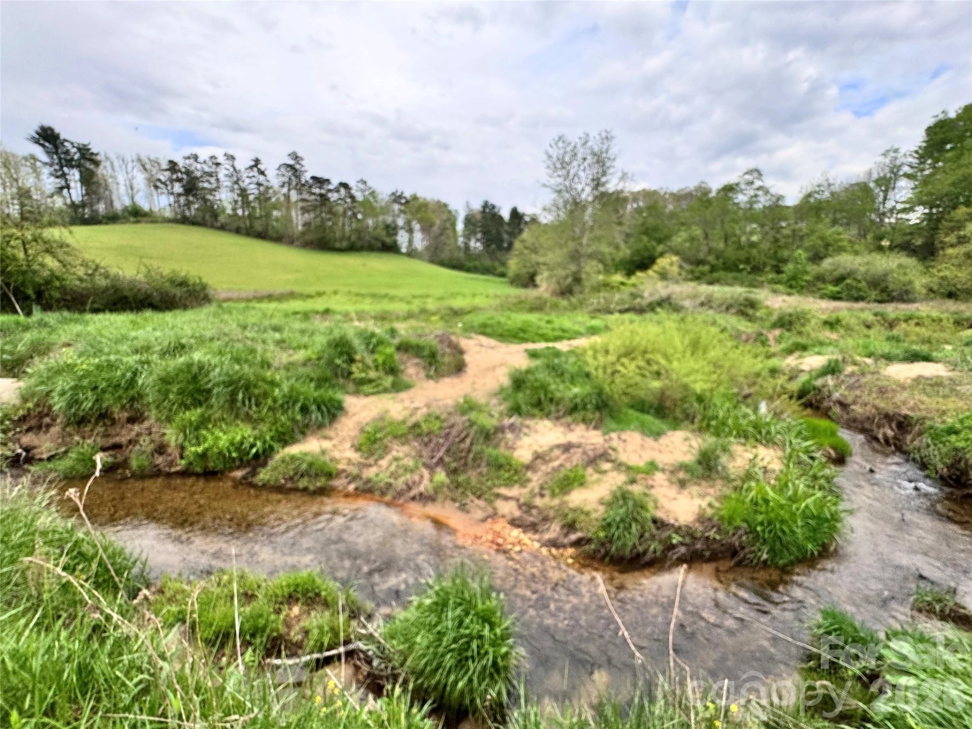 38 Flourish Farm Lane - Photo 3