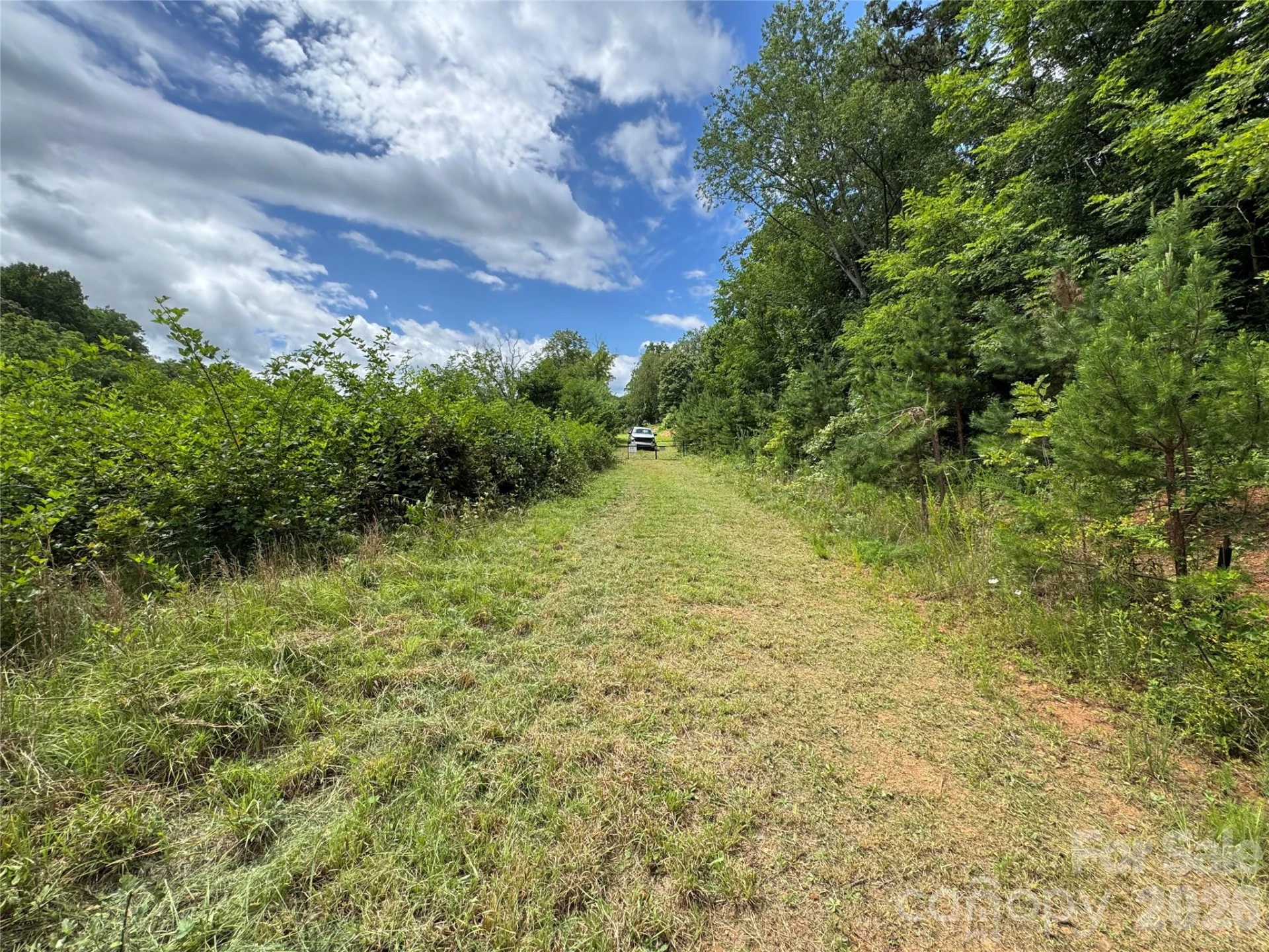 38 Flourish Farm Lane - Photo 4