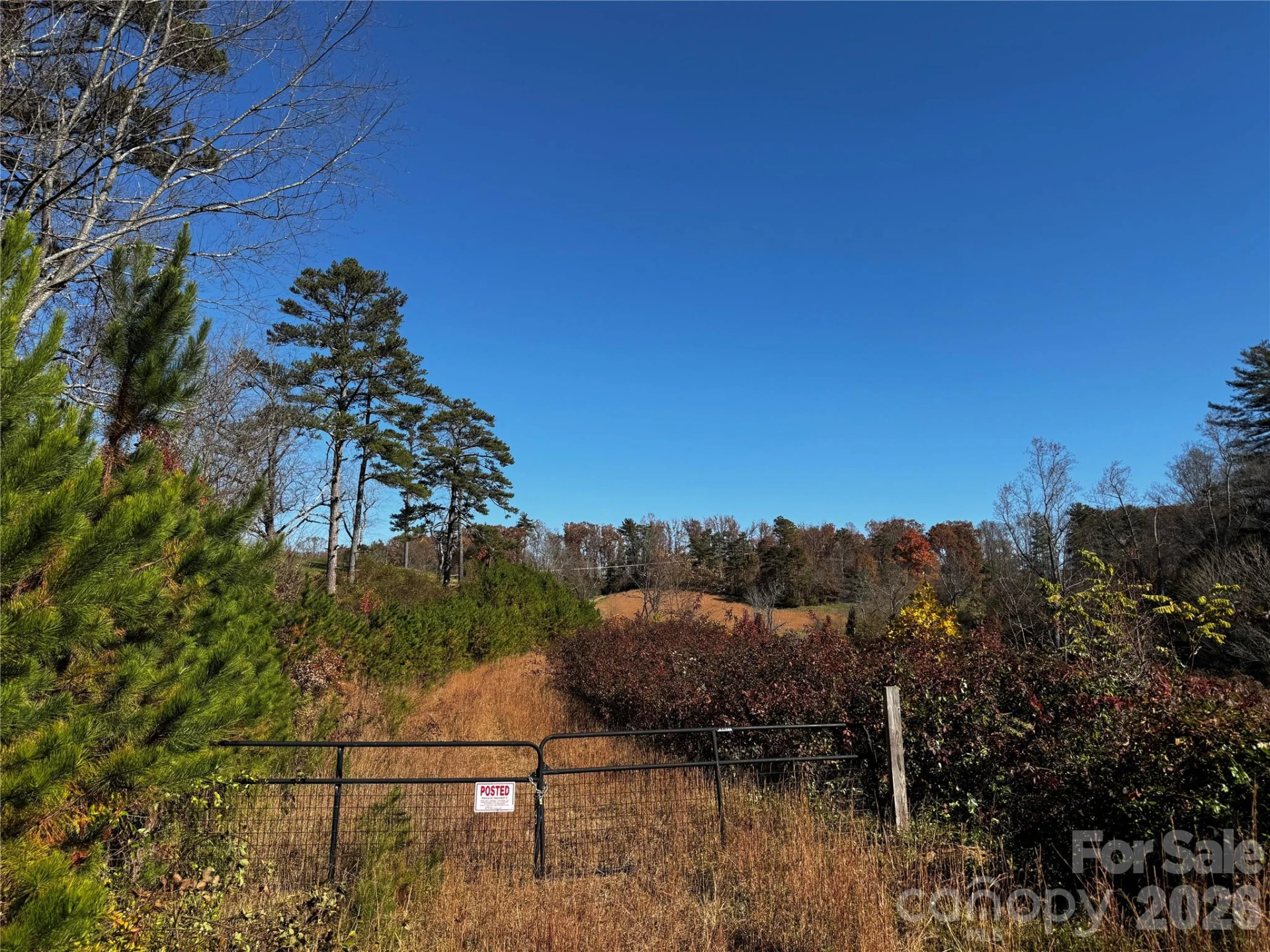 38 Flourish Farm Lane - Photo 6