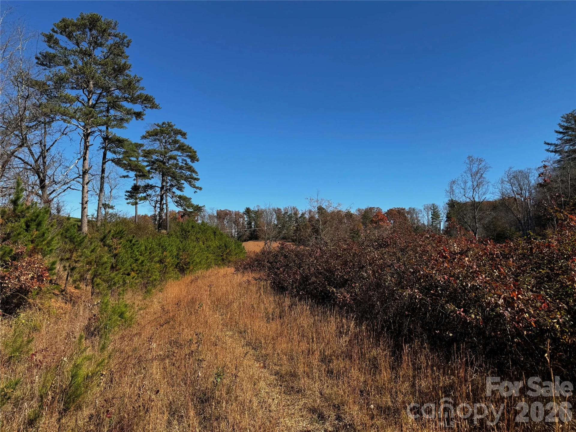 38 Flourish Farm Lane - Photo 7