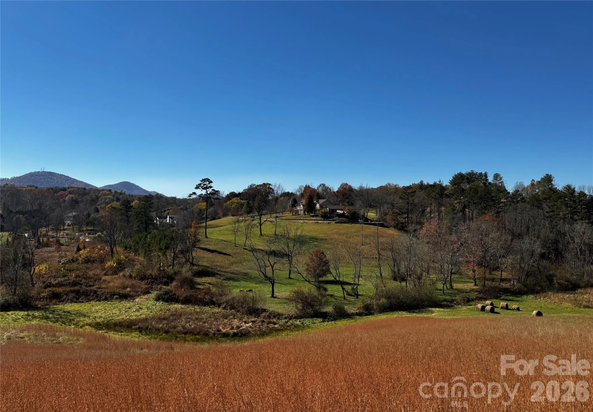 38 Flourish Farm Lane - Photo 8