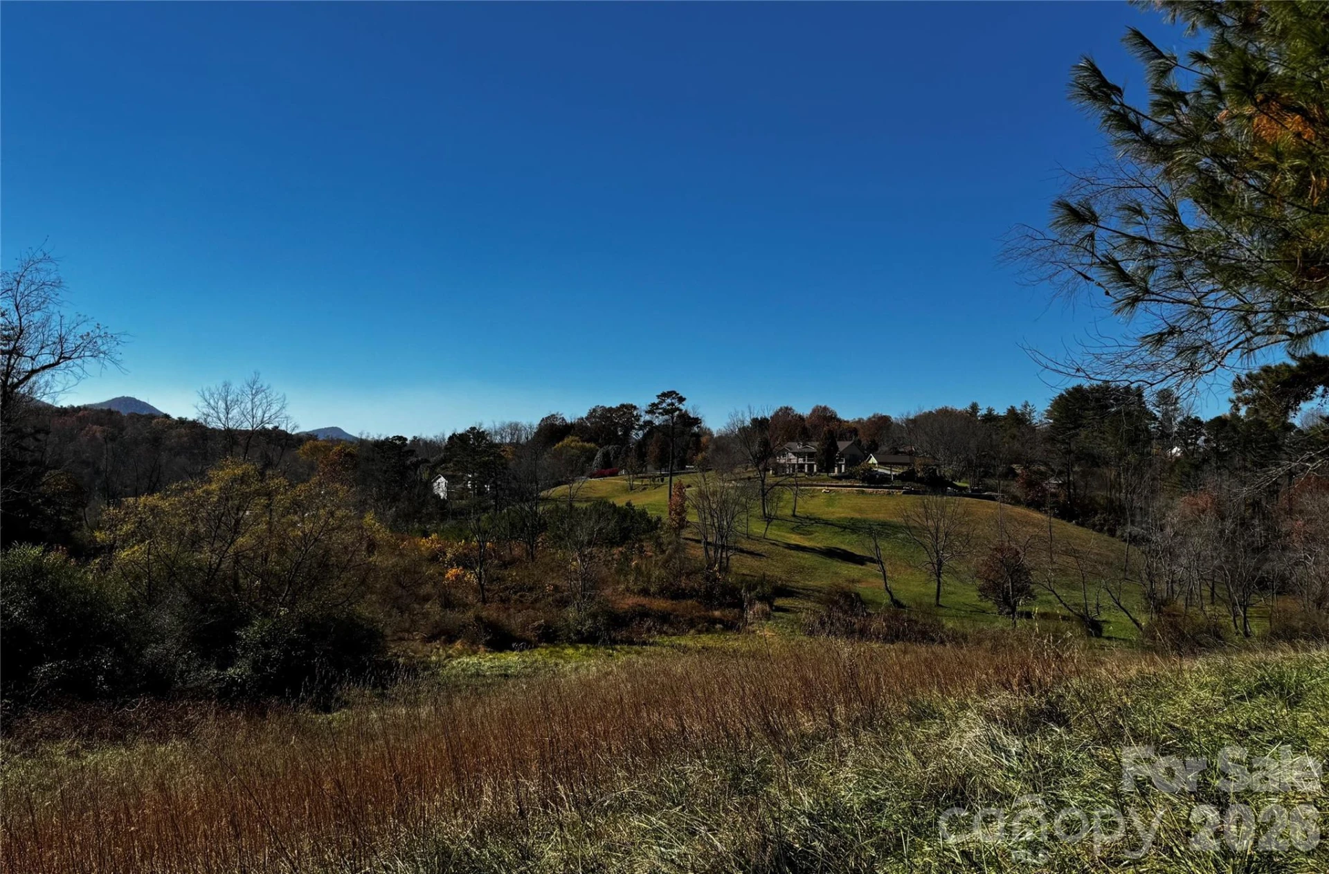 38 Flourish Farm Lane - Photo 11