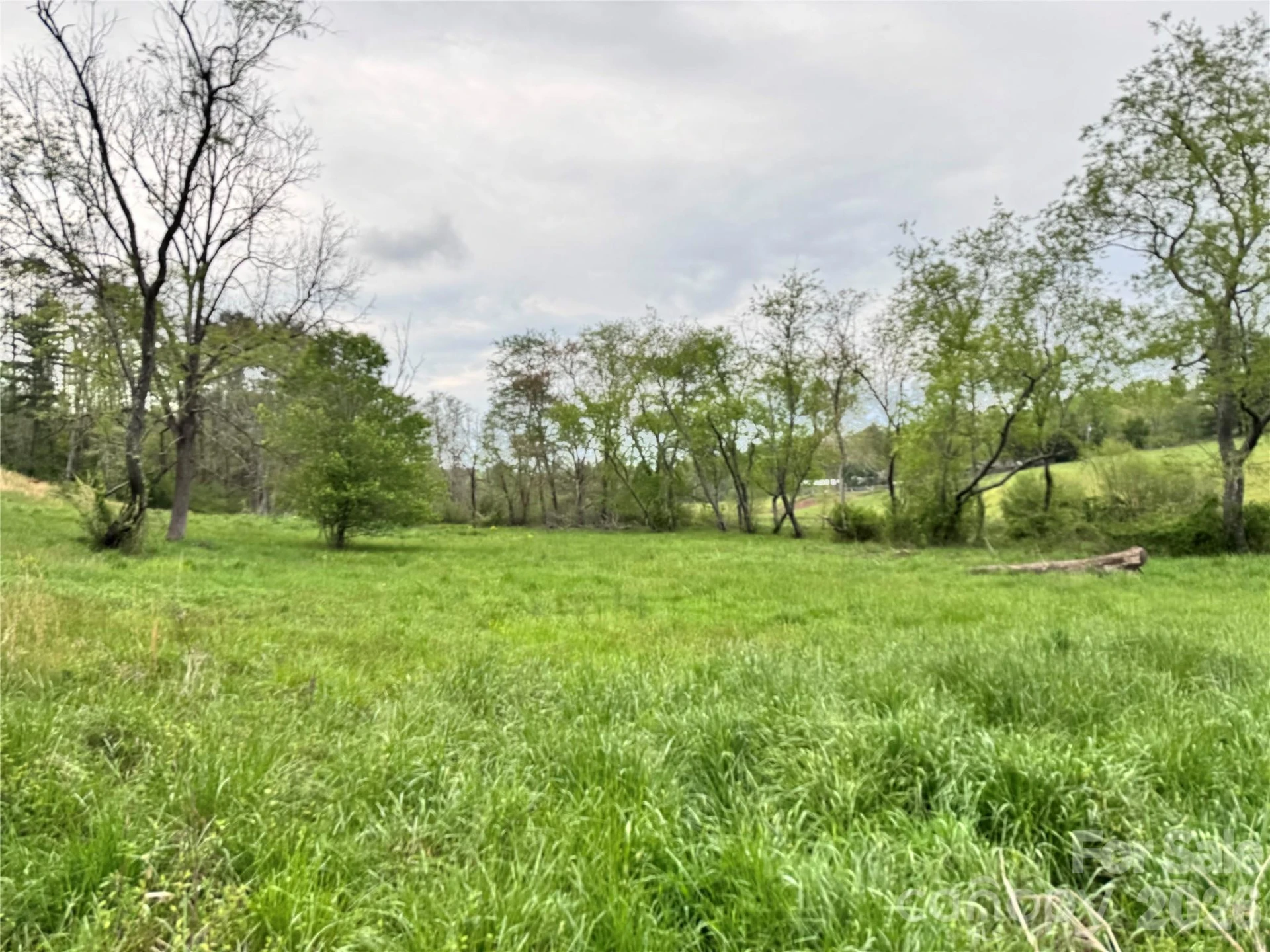 38 Flourish Farm Lane - Photo 13