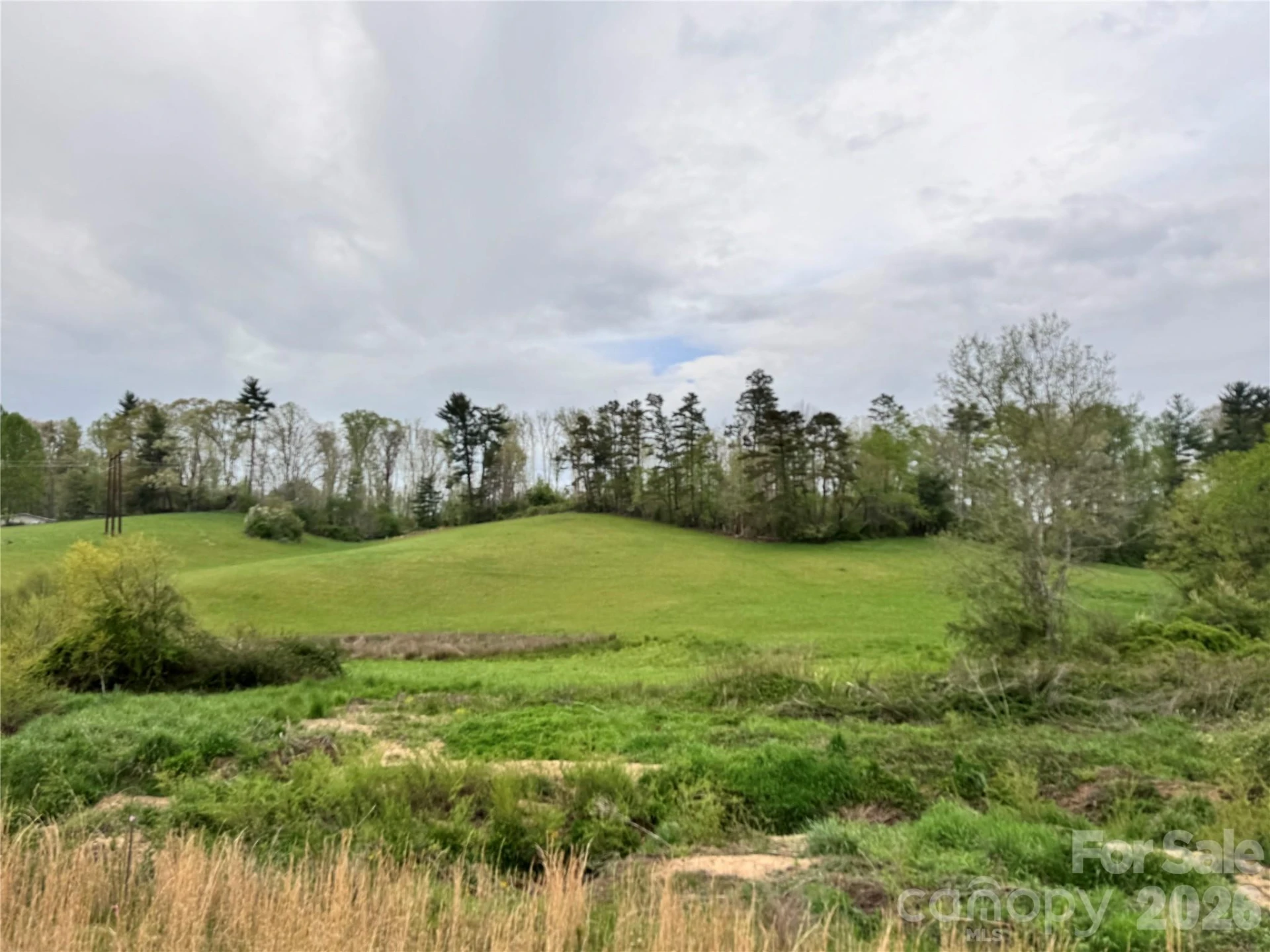 38 Flourish Farm Lane - Photo 15