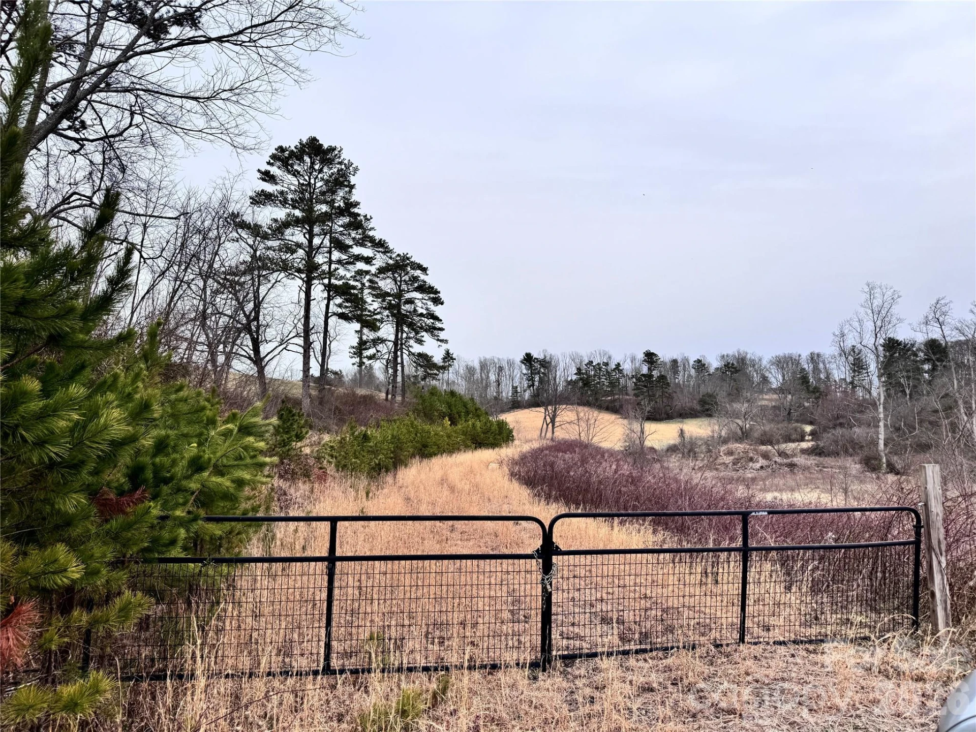38 Flourish Farm Lane - Photo 17