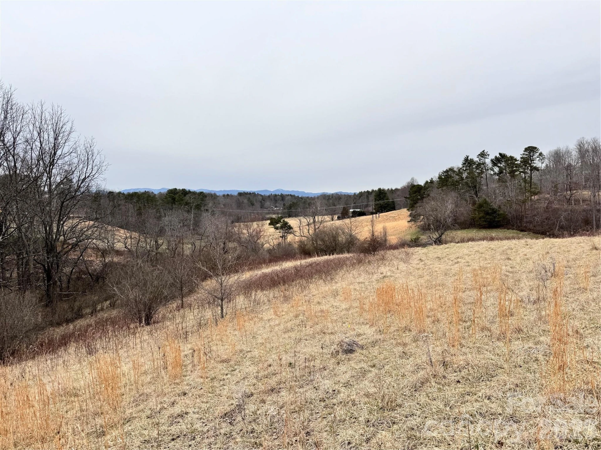 38 Flourish Farm Lane - Photo 23
