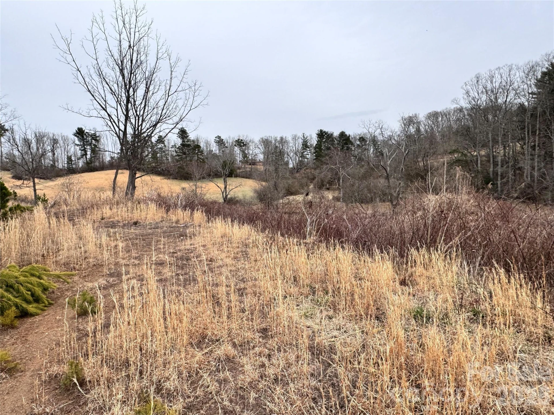 38 Flourish Farm Lane - Photo 37