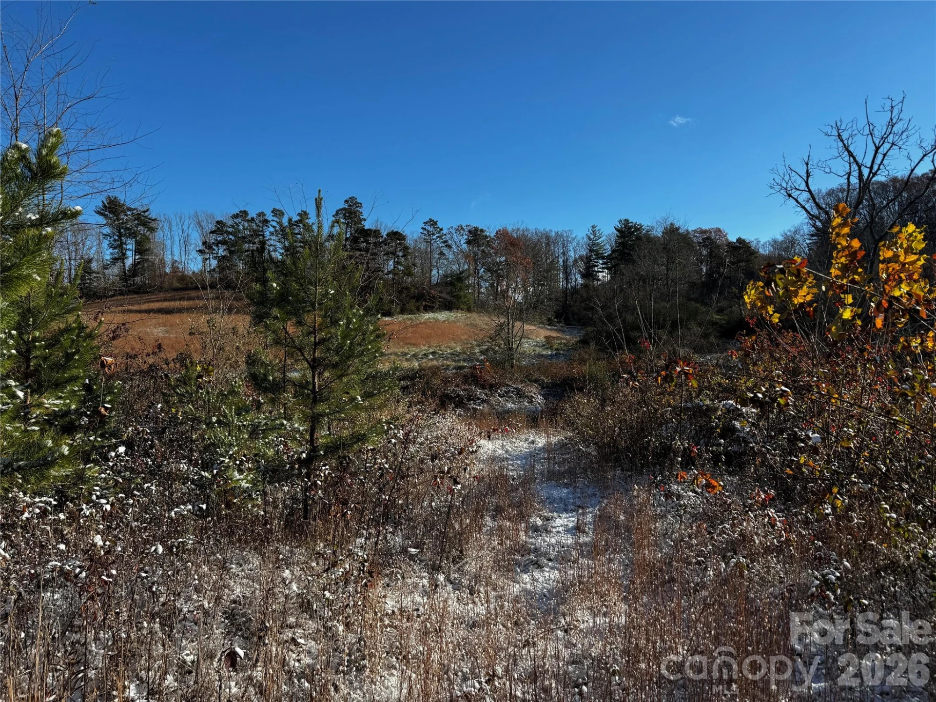 38 Flourish Farm Lane - Photo 42