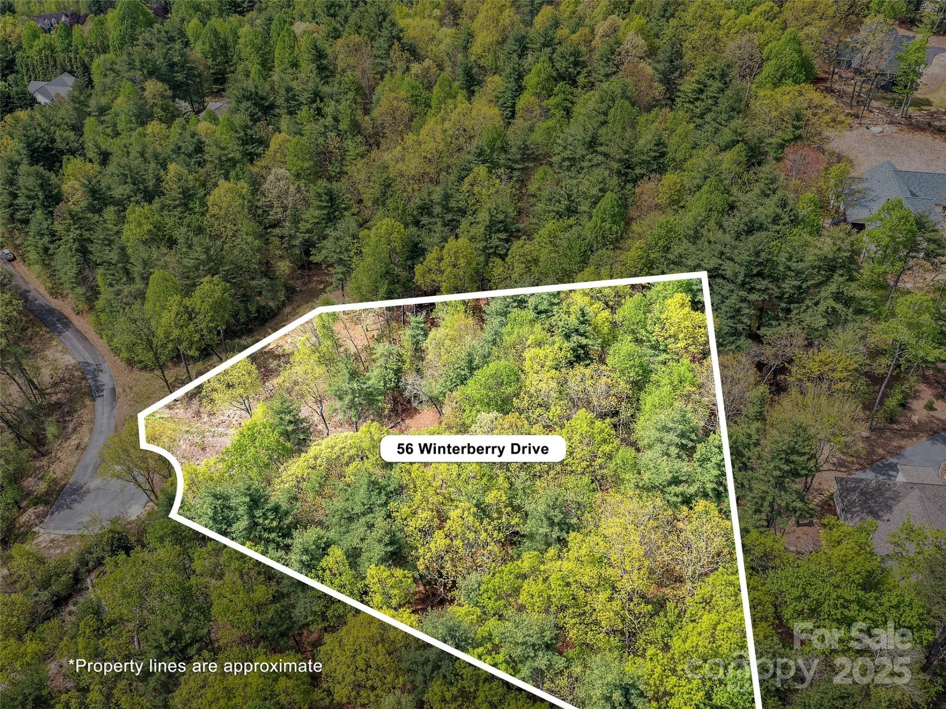 Lot #56 Winterberry Drive - Photo 4