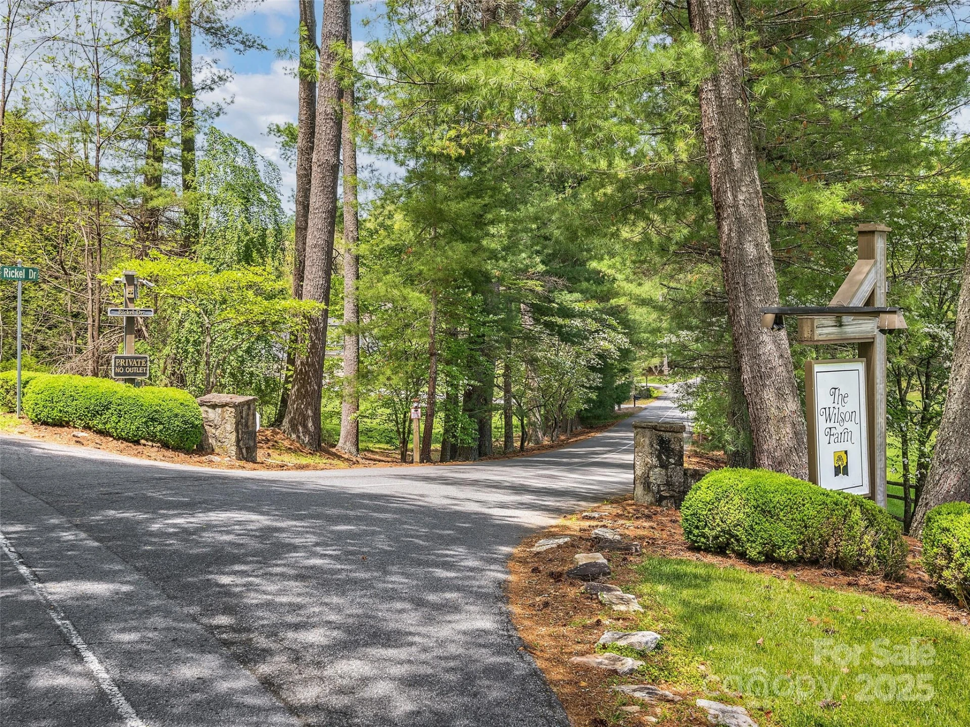 Lot #56 Winterberry Drive - Photo 6